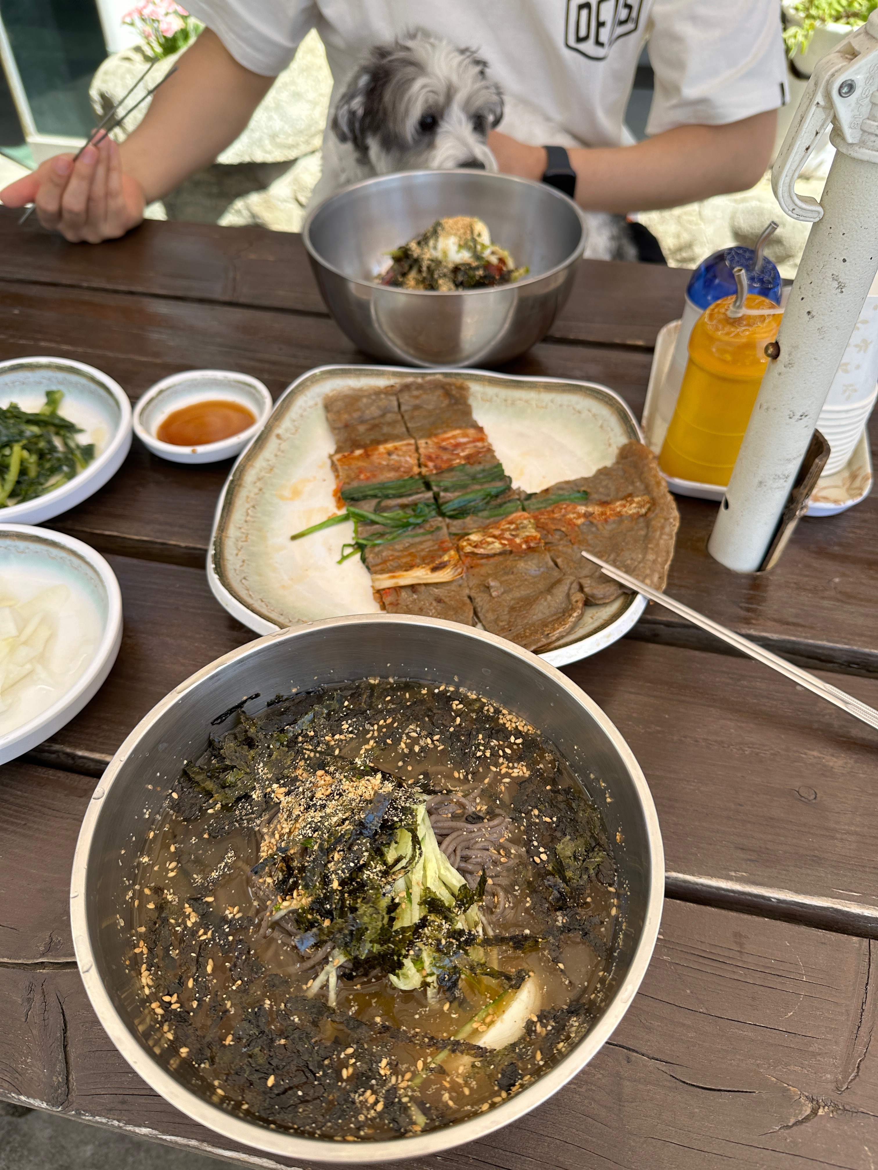 저번 일요일에 다녀왔는데 며칠뒤 강릉 산불 소식 듣고 맘이 넘 안좋았어요 - 경포대 맛집 남향막국수 본점