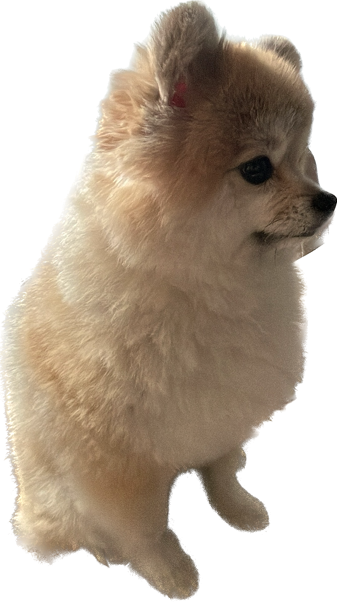 리뷰 사진 3