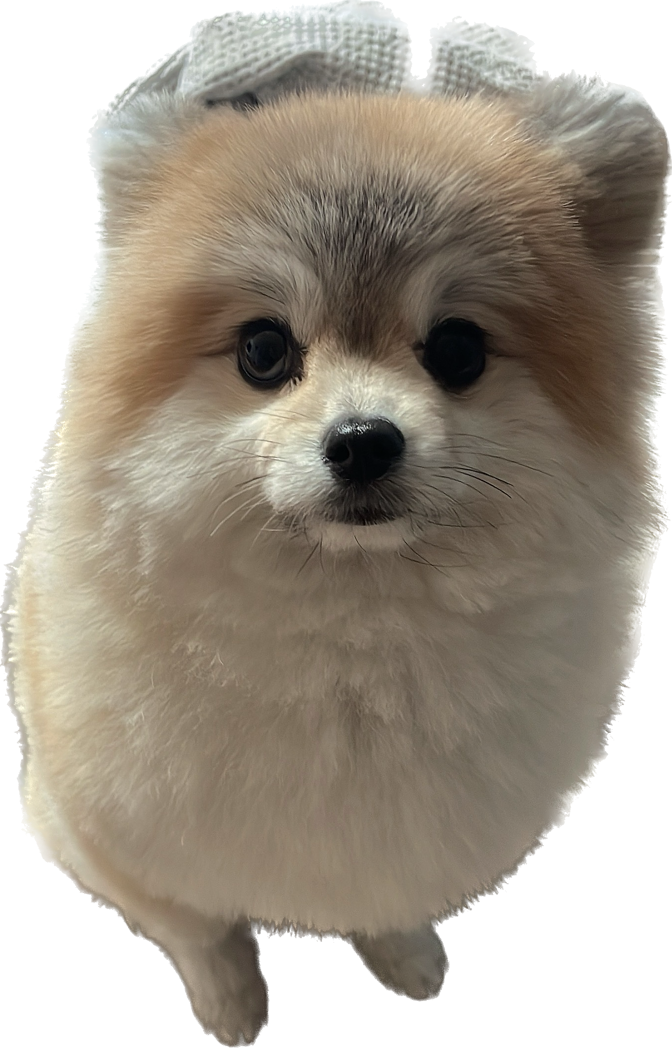 리뷰 사진 1
