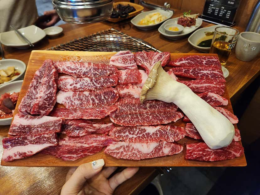 blingmi님의 토우 리뷰
