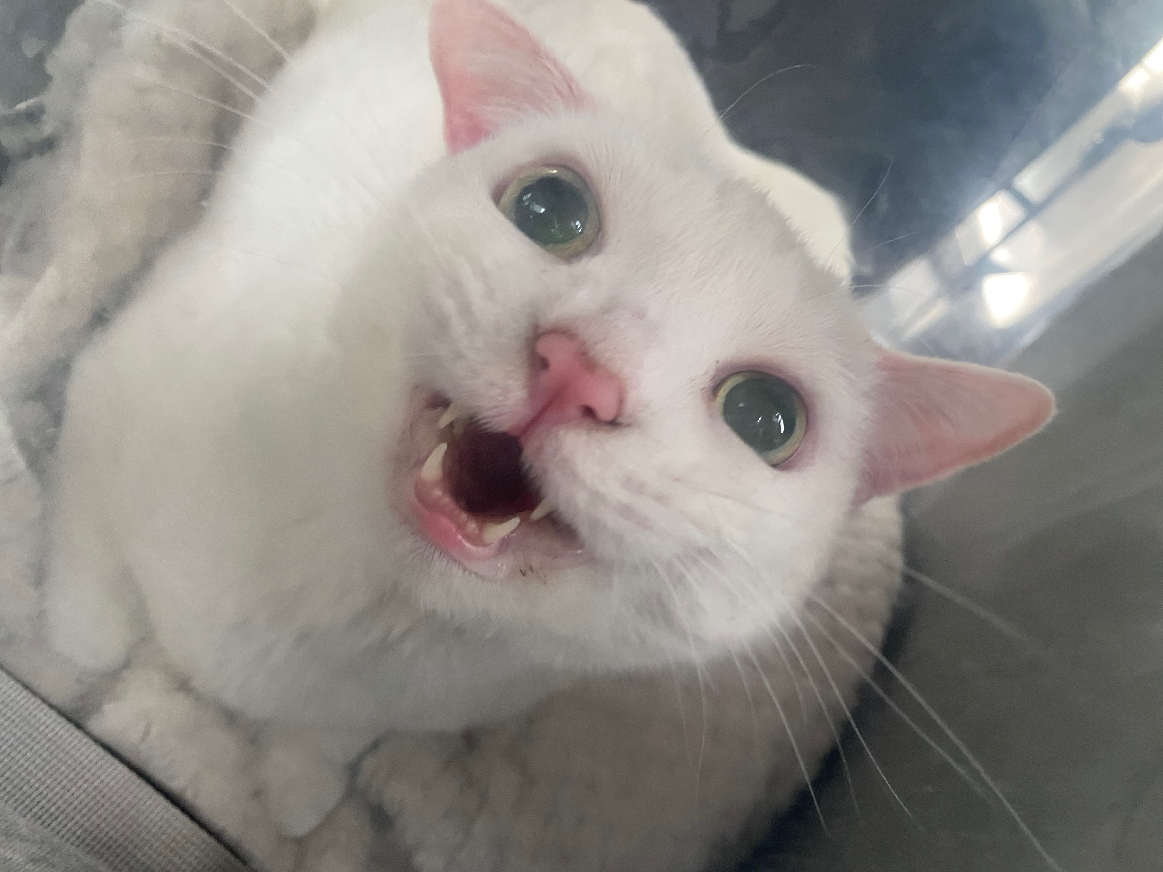 리뷰 사진 1
