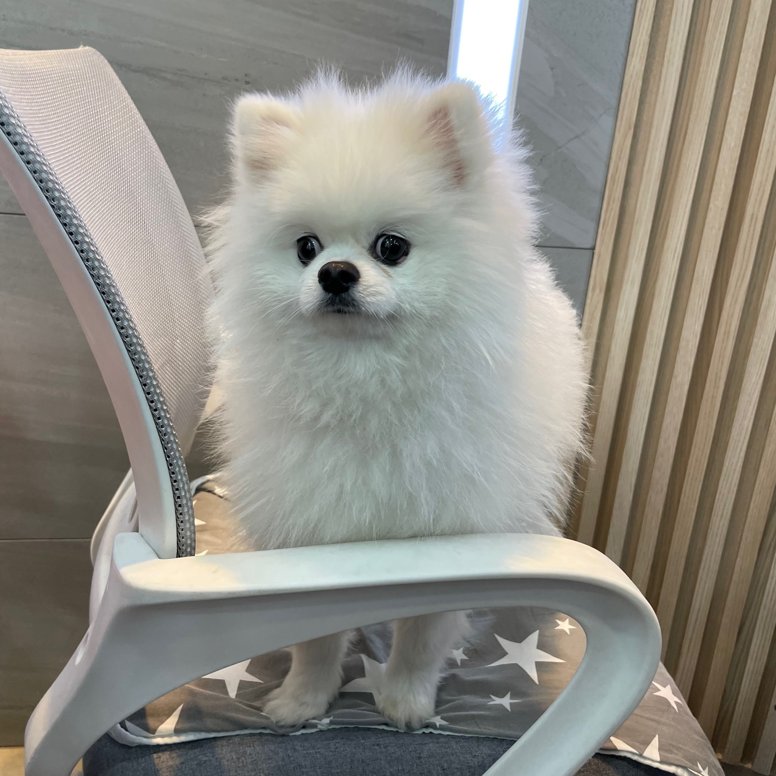 리뷰 사진 1