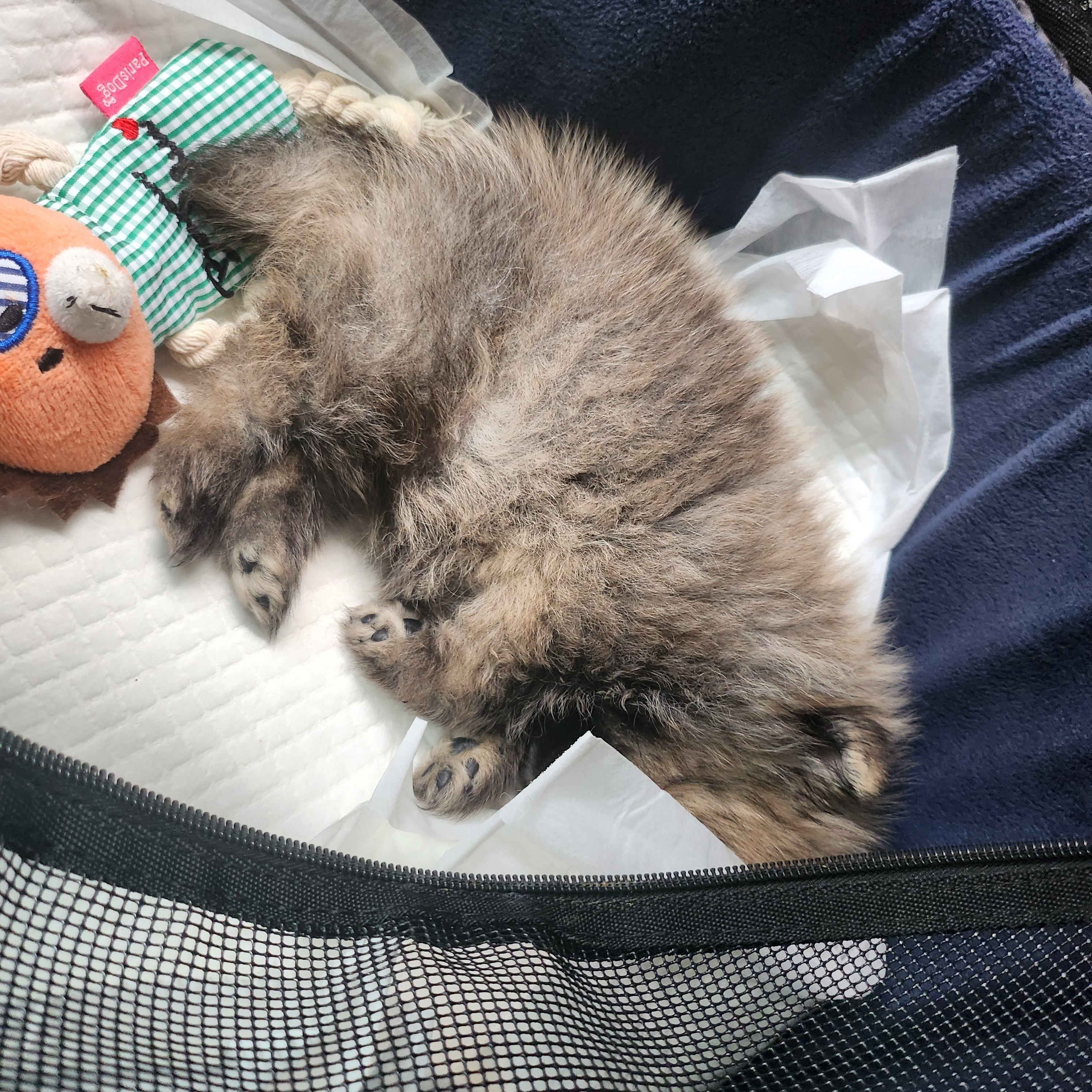 북아현동물병원 사진 3