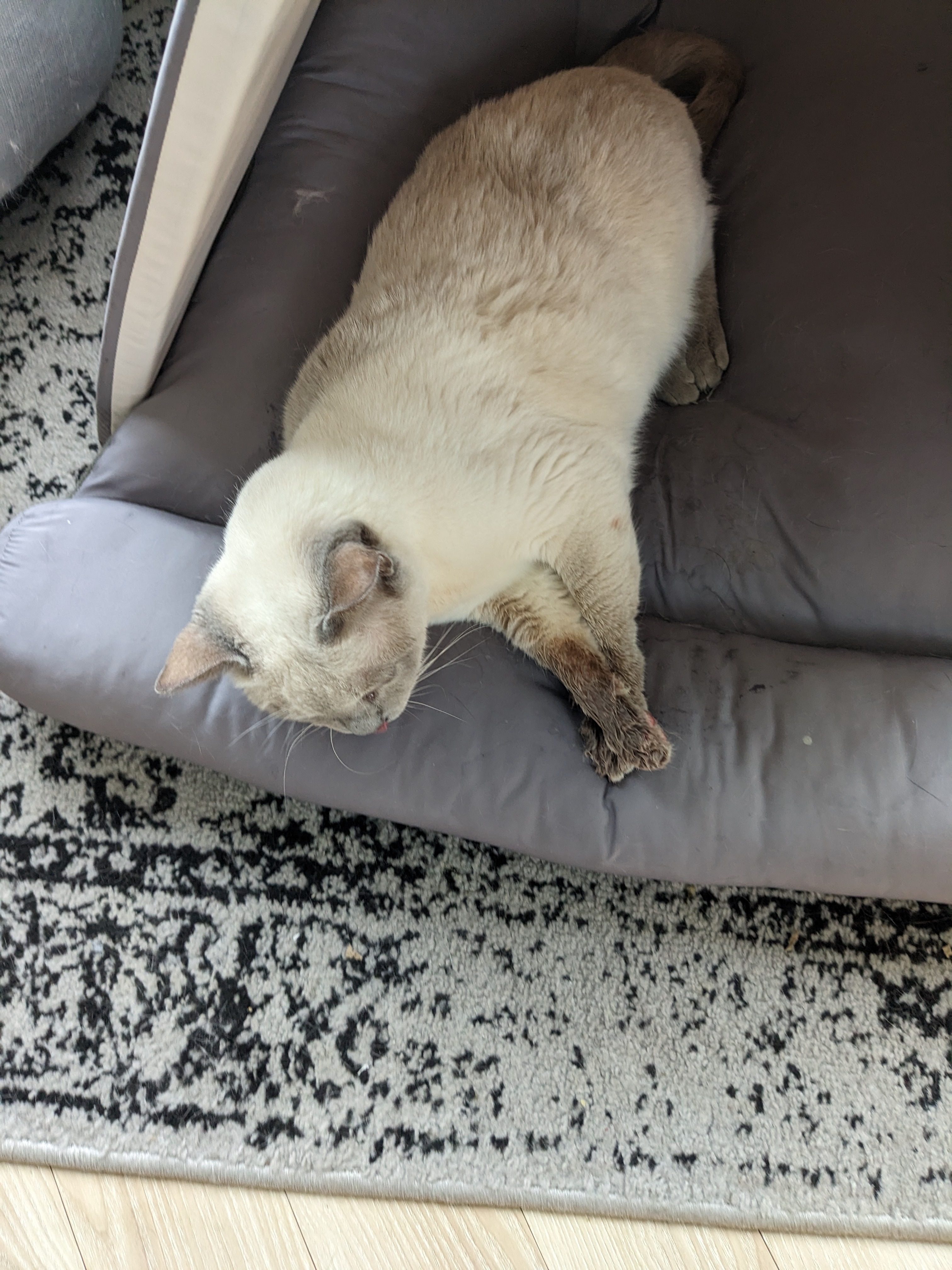 리뷰 사진 2