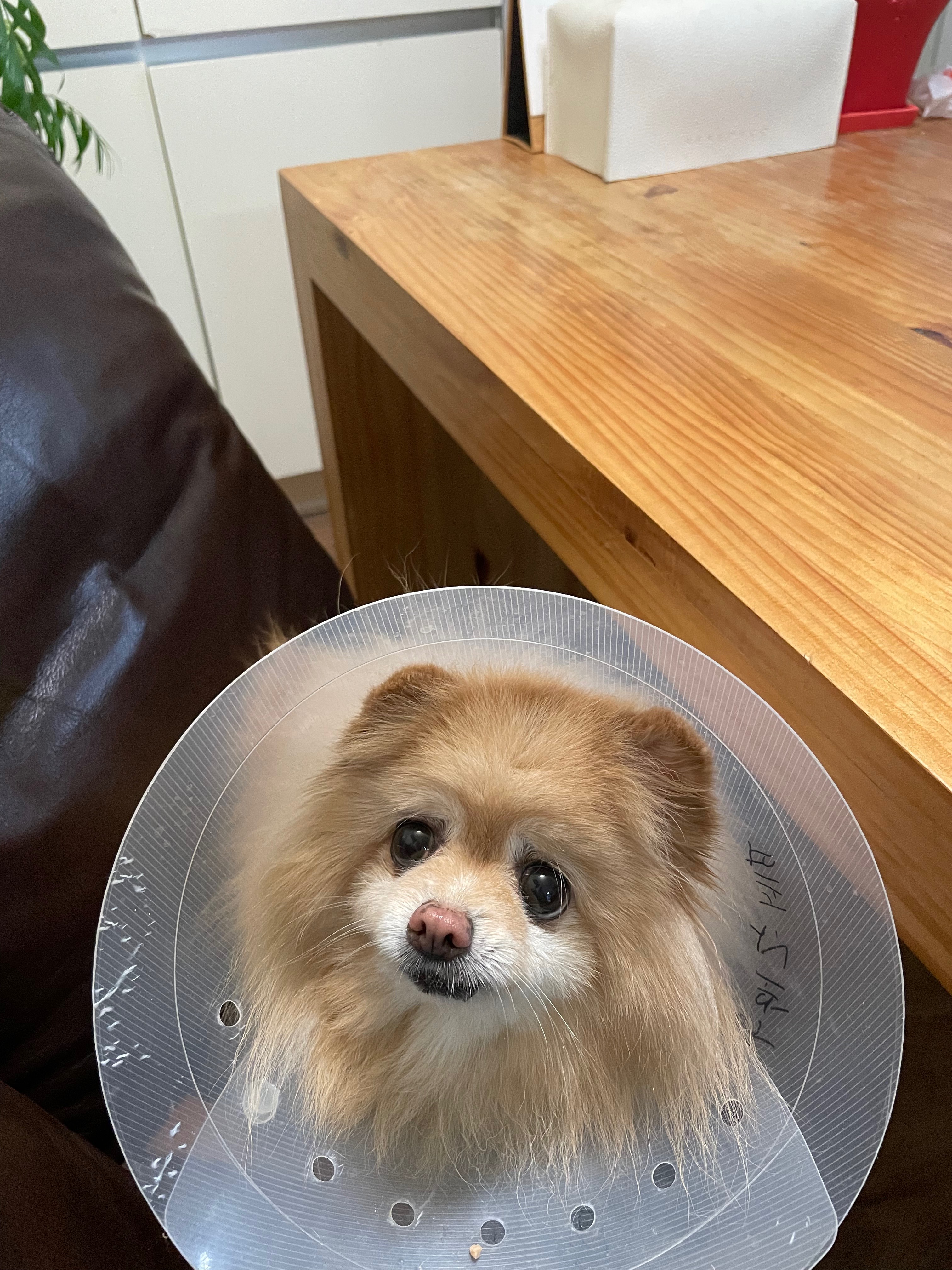 리뷰 사진 1