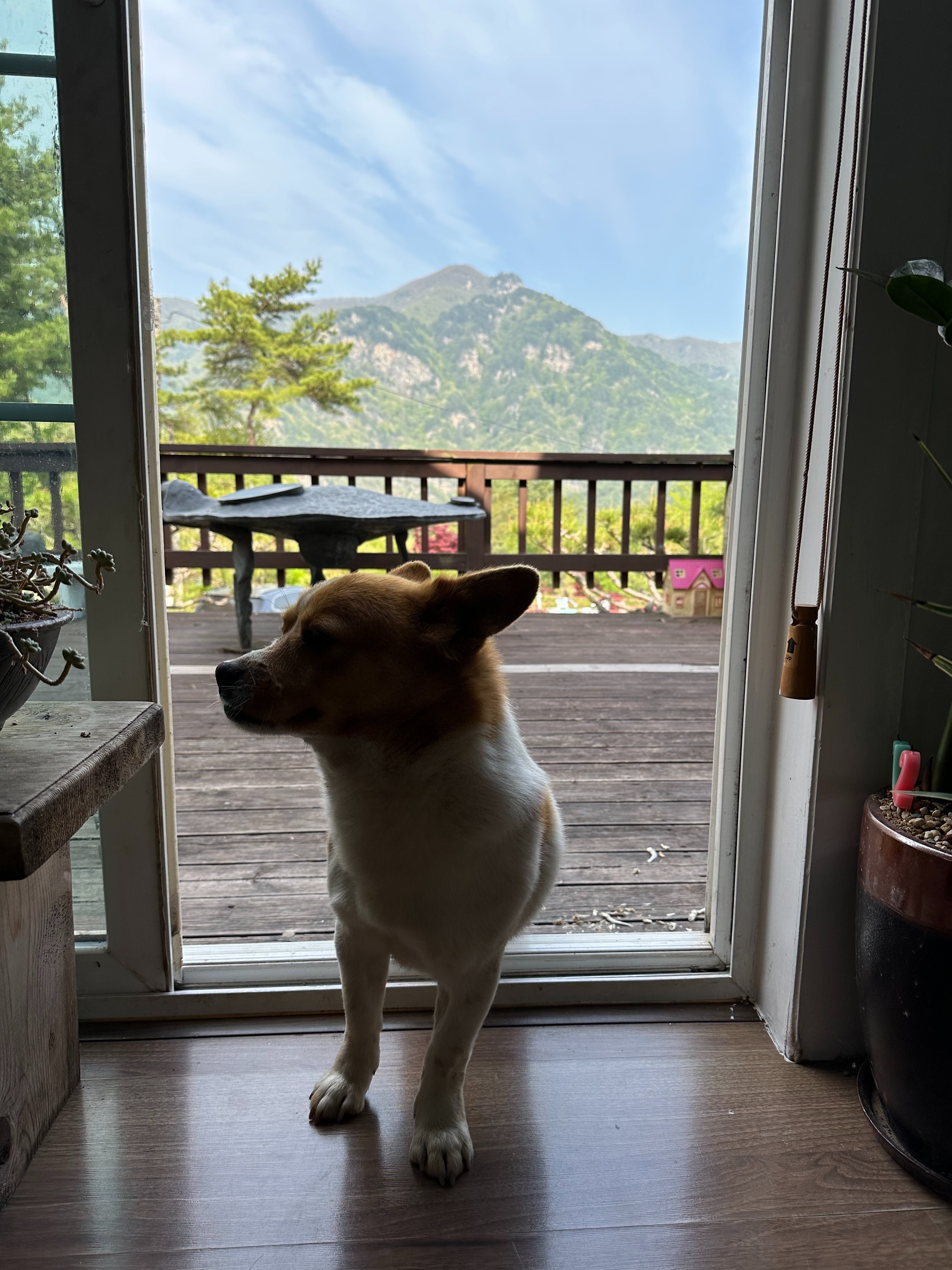 리뷰 사진 1