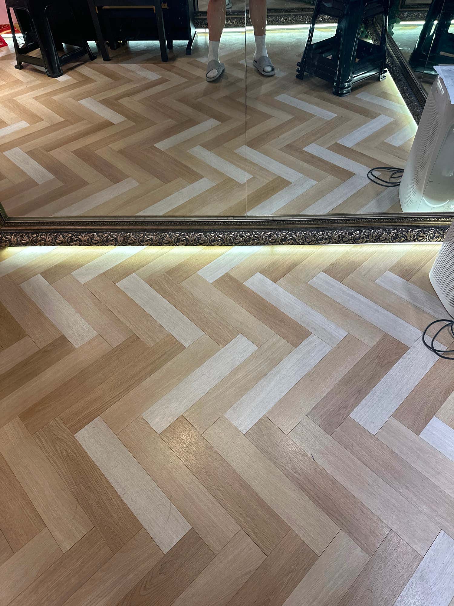 2번째 스튜디오 사진