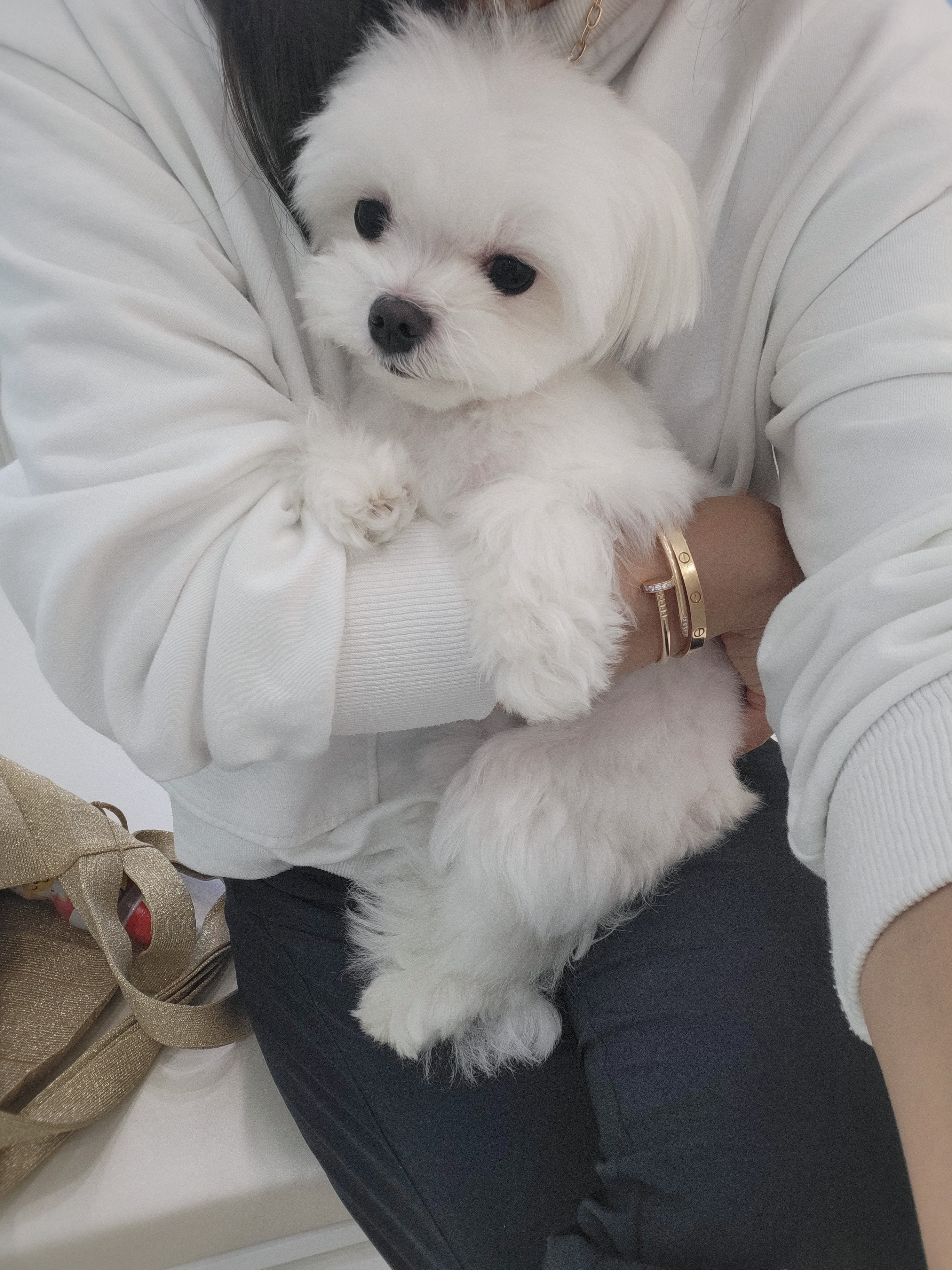 리뷰 사진 1