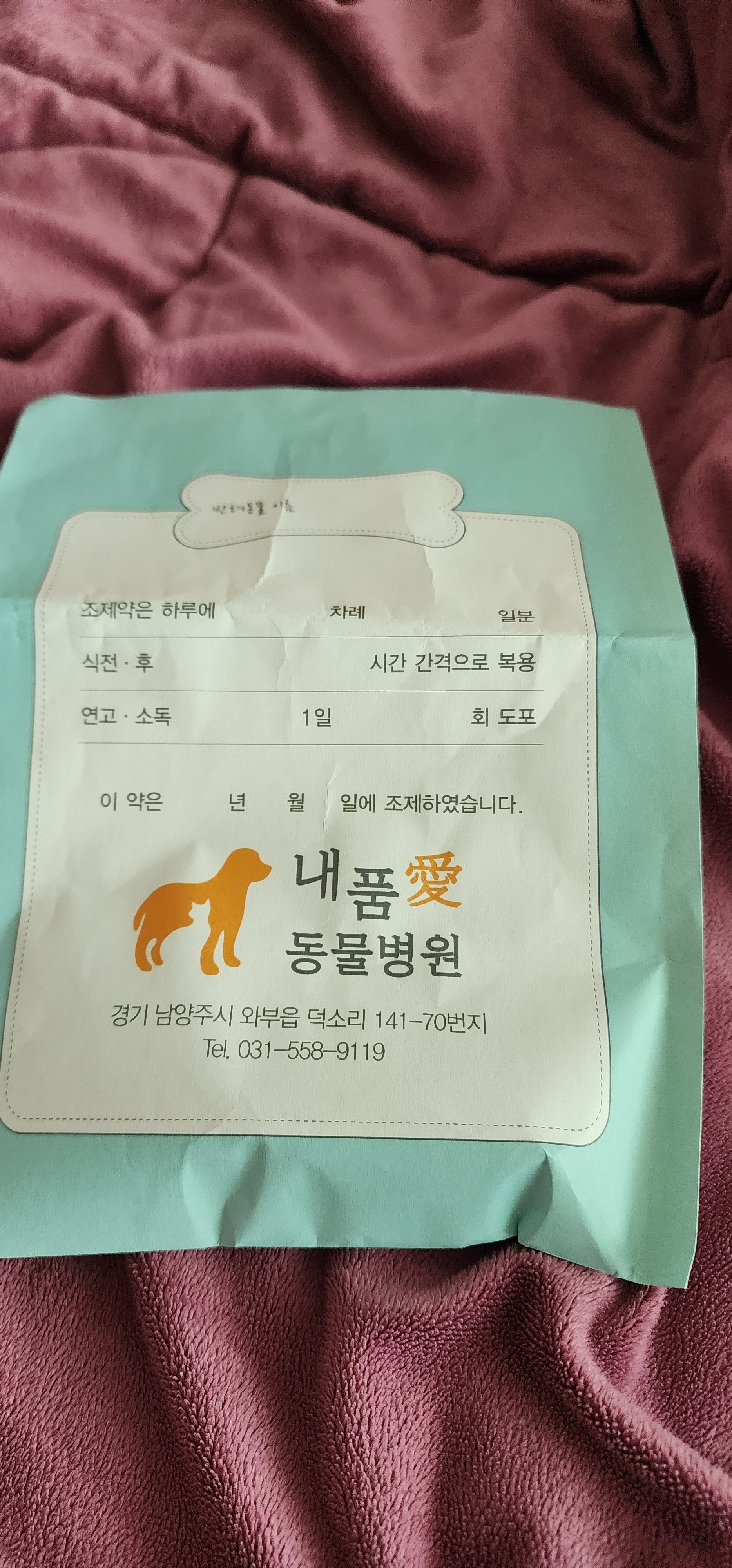 내품애동물병원 사진 3