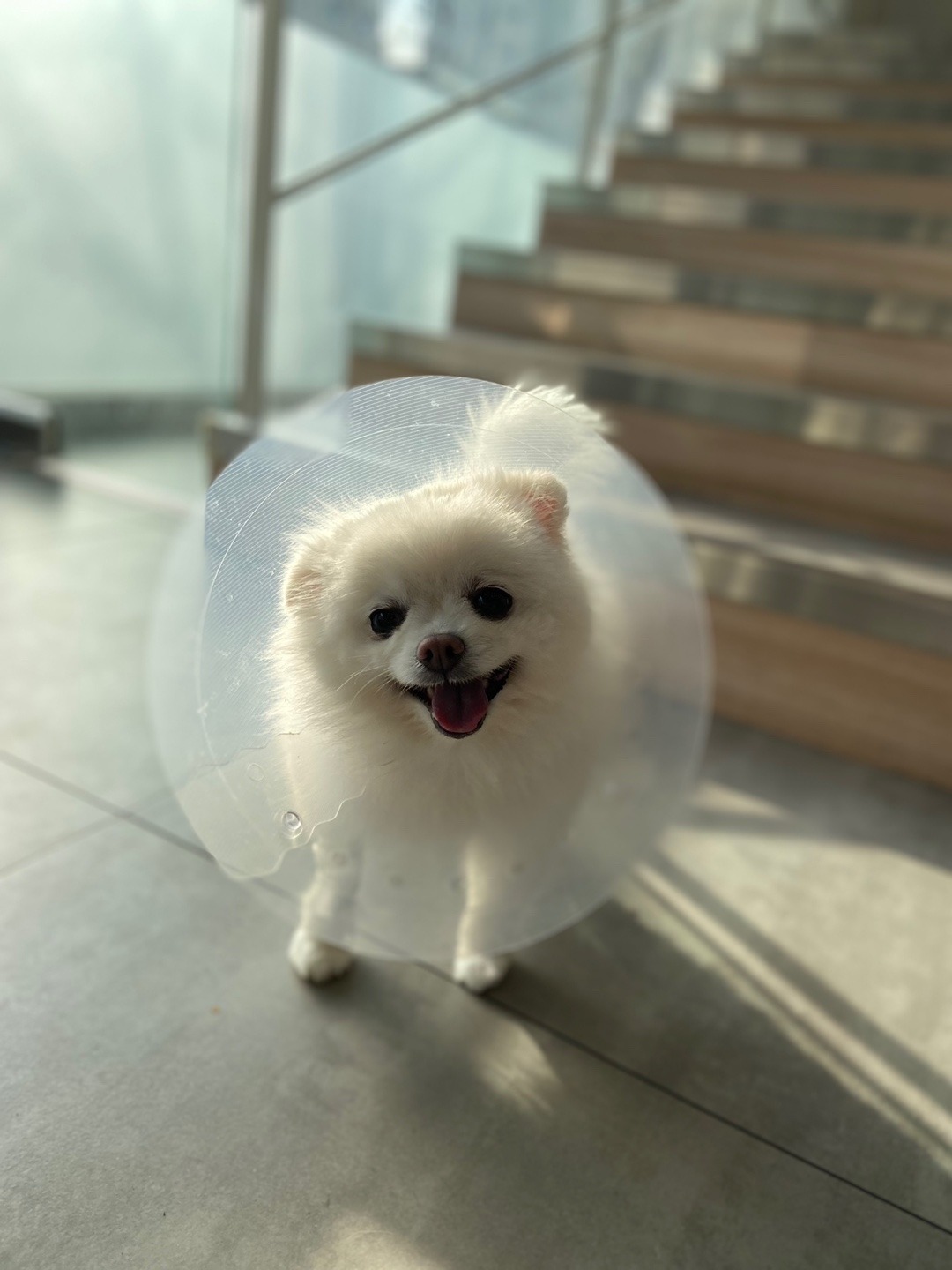 리뷰 사진 1