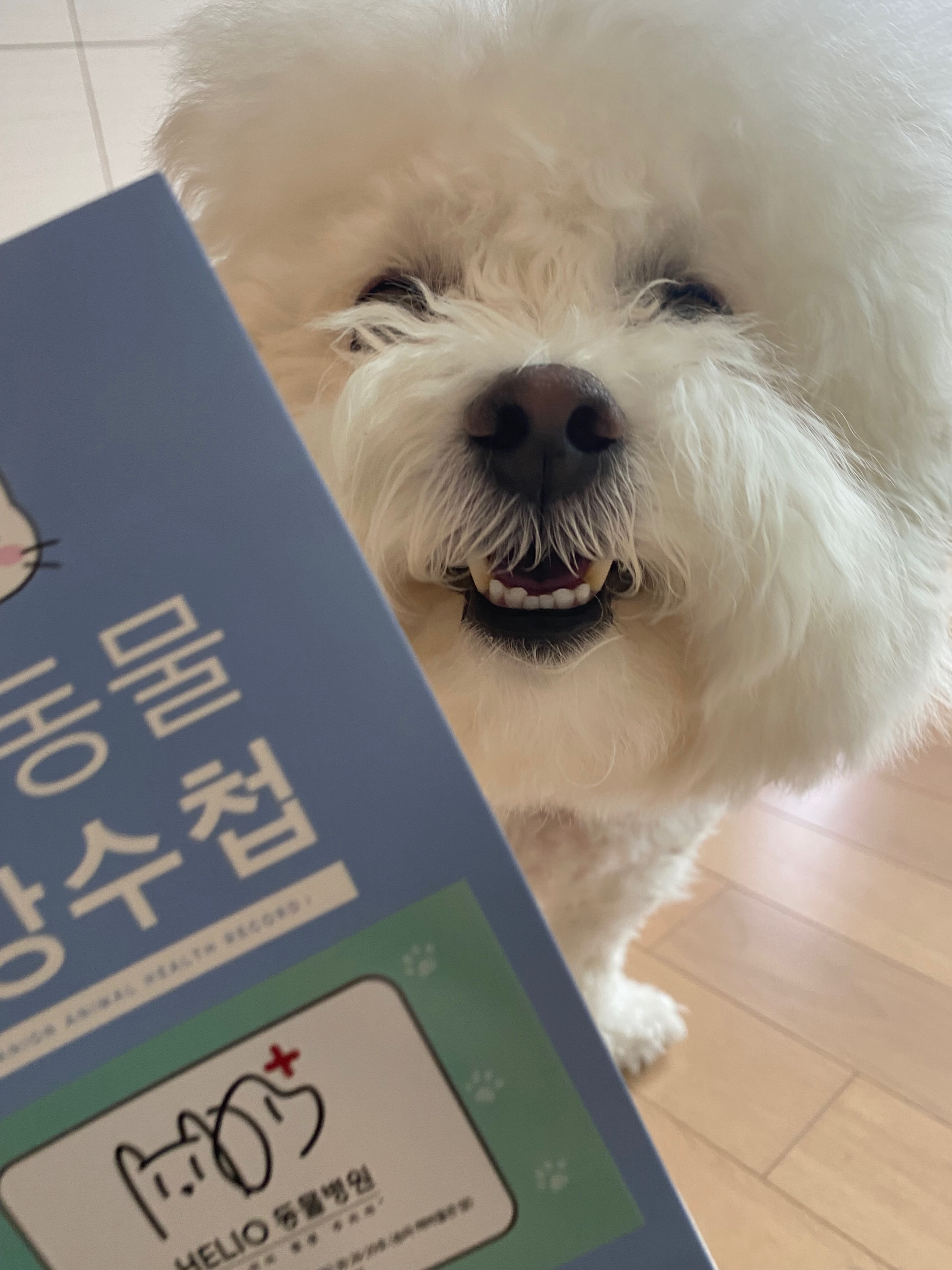 리뷰 사진 1