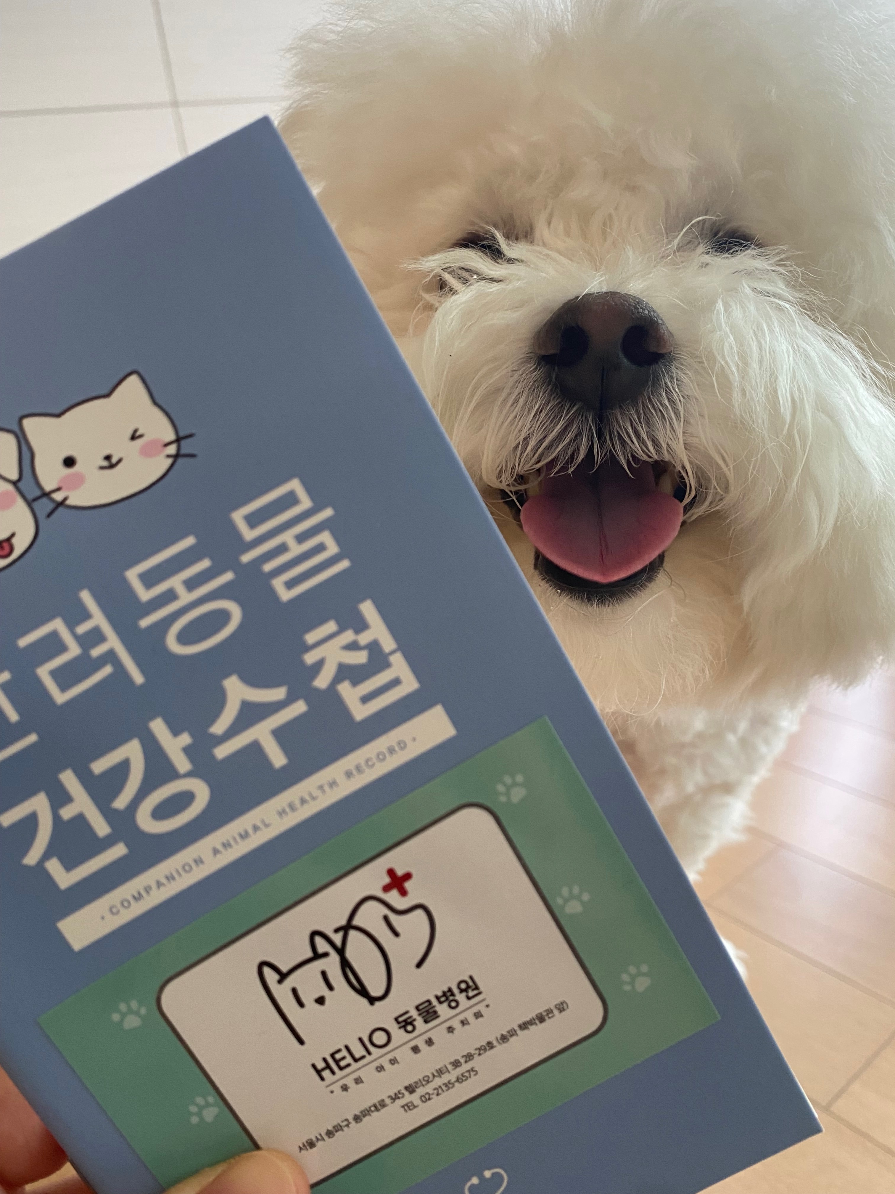 리뷰 사진 2