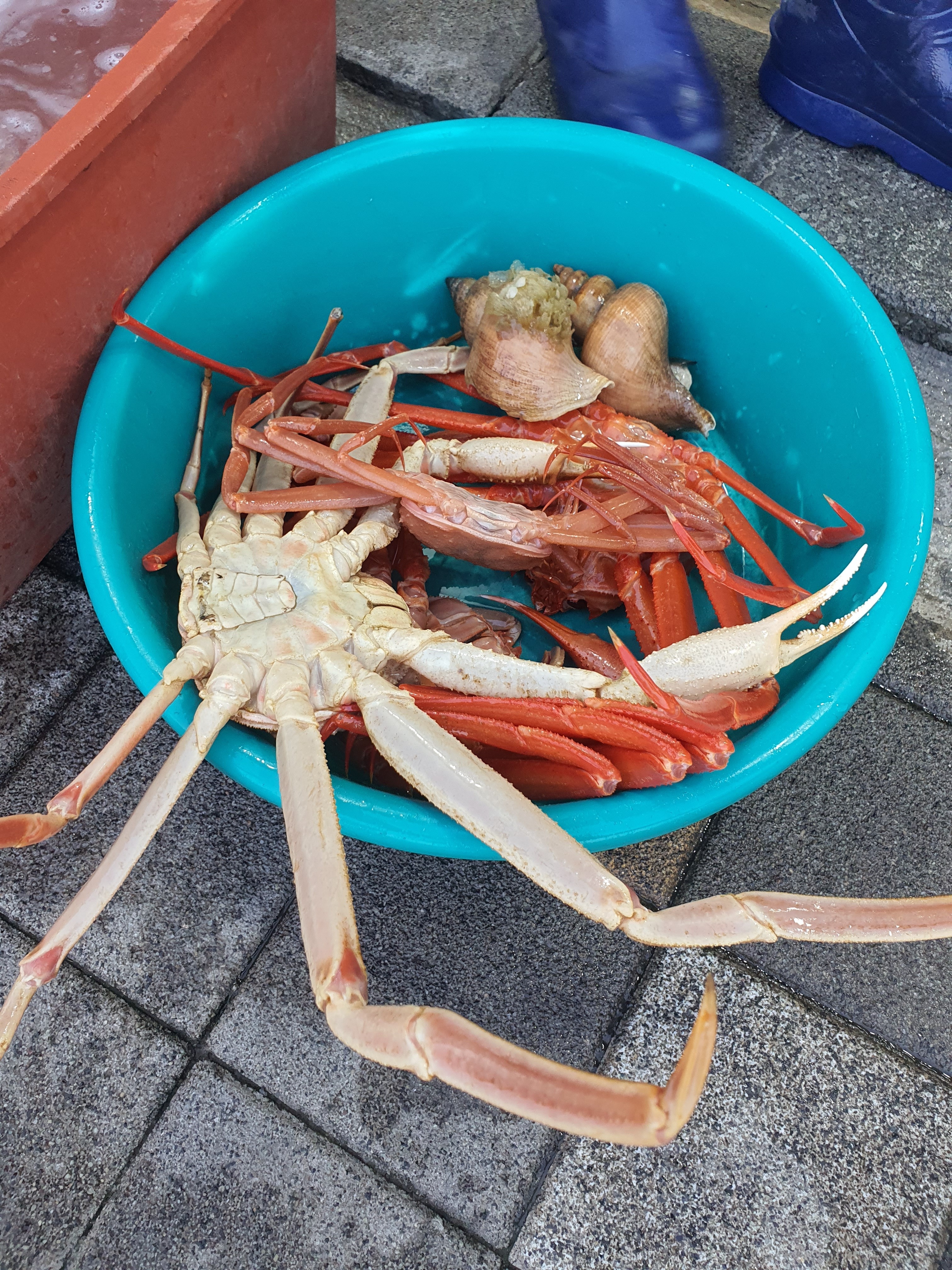 사장님 엄청 친절해요^^ - 삼척항 맛집 대게킹