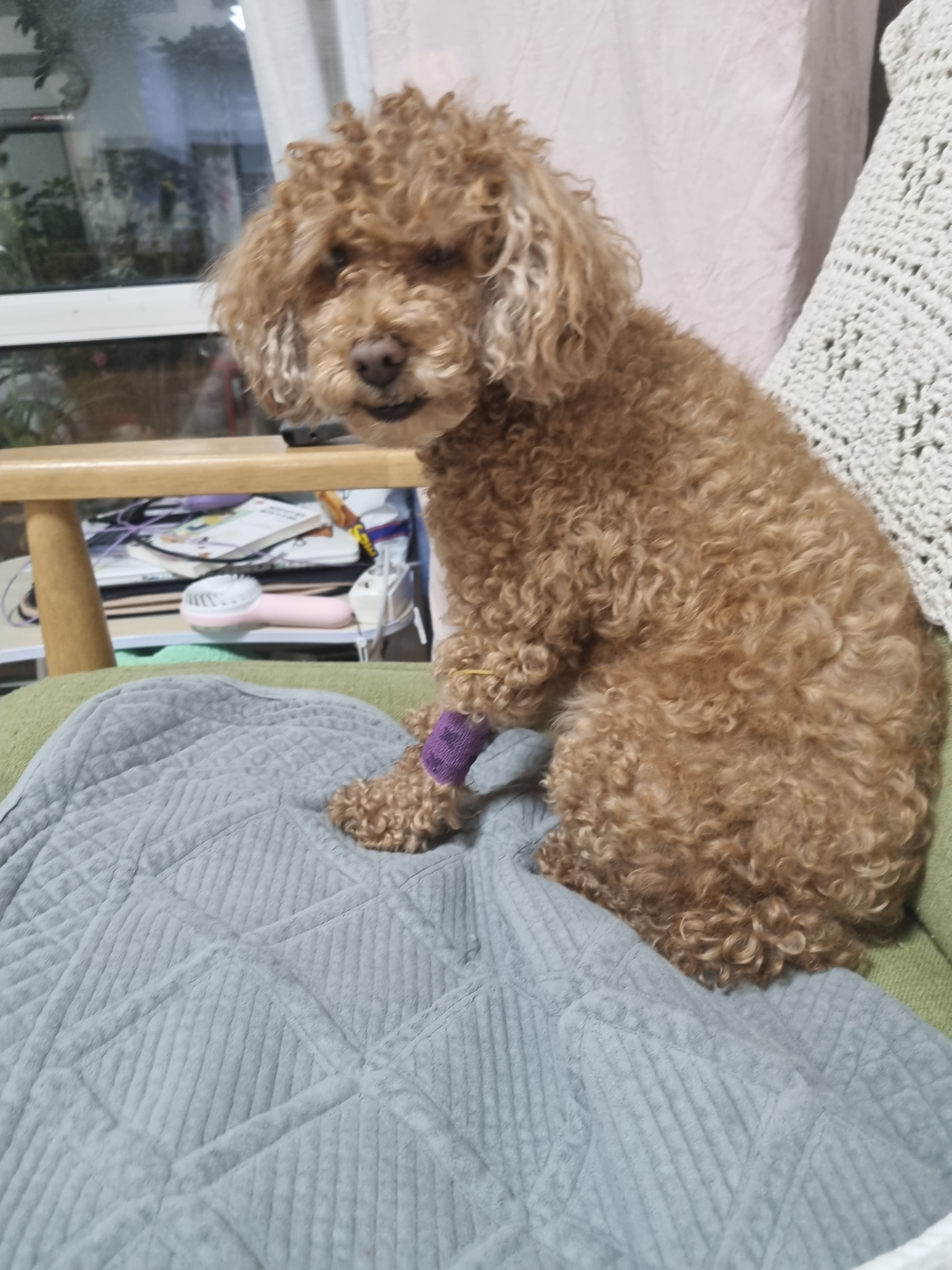 리뷰 사진 1