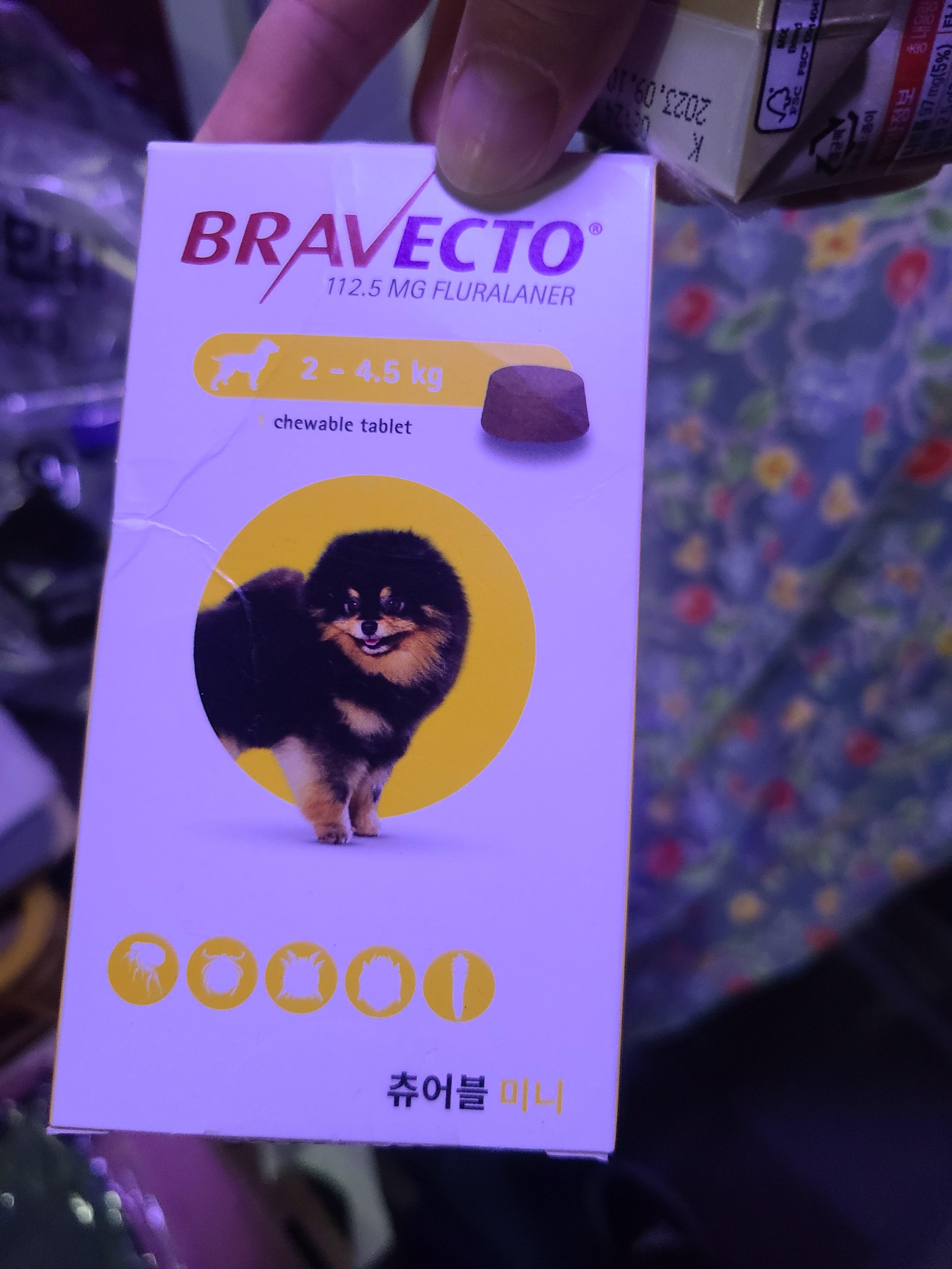 서울종합동물병원 사진 2