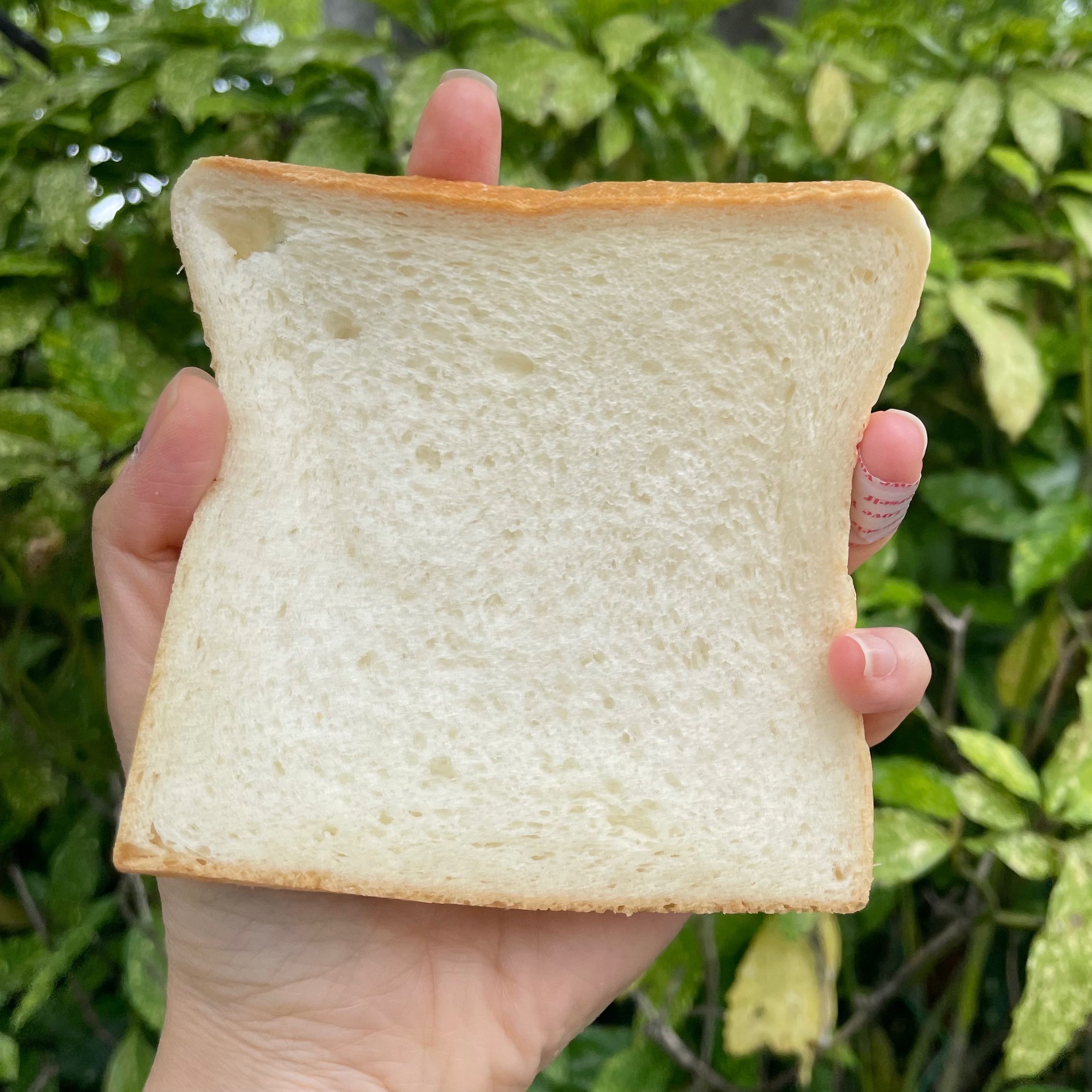 흐엉 너무맛있어요 진쫘ㅠㅠ - 부산 용호동 맛집 화이트리에 용호점