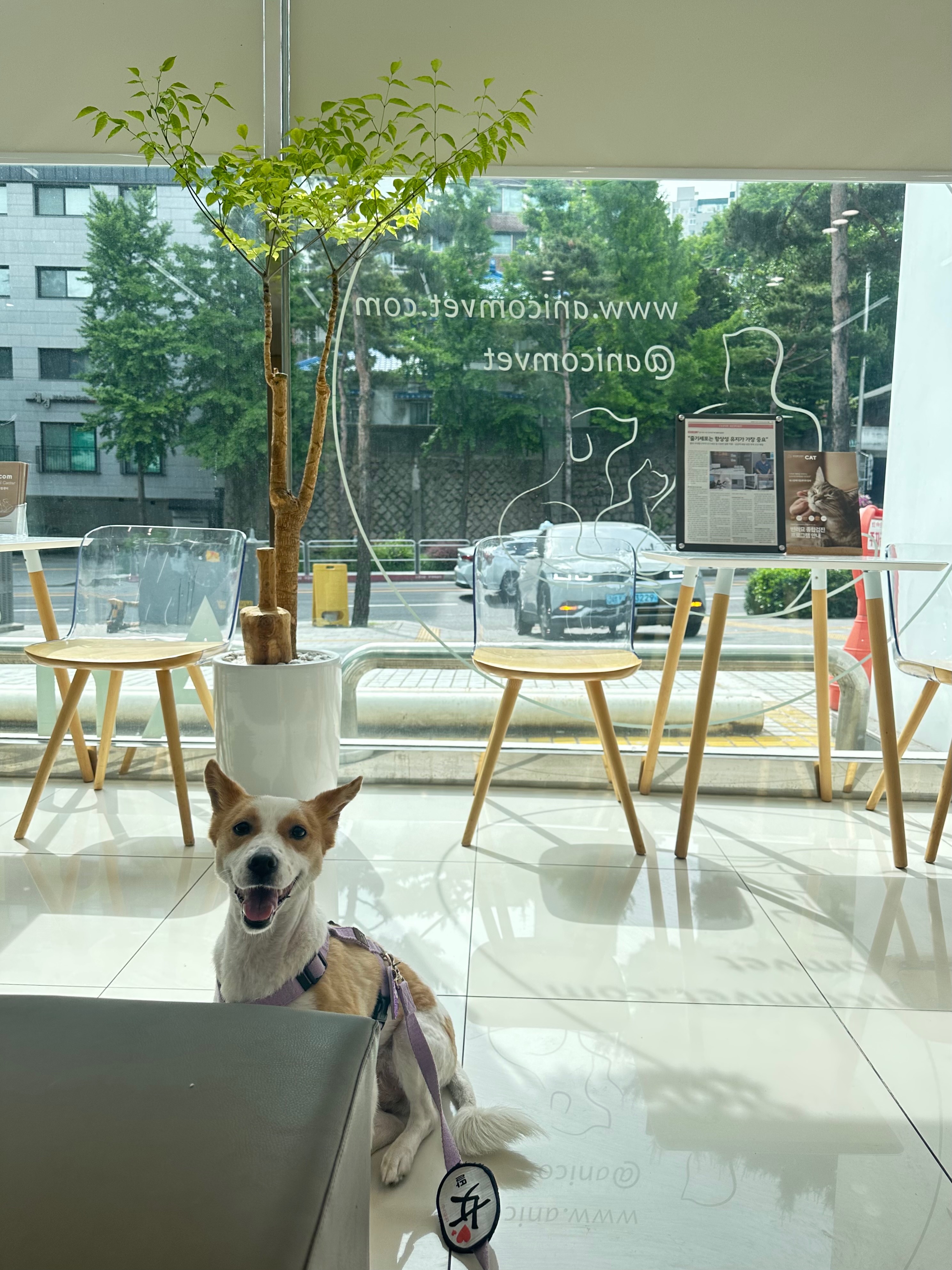 리뷰 사진 1
