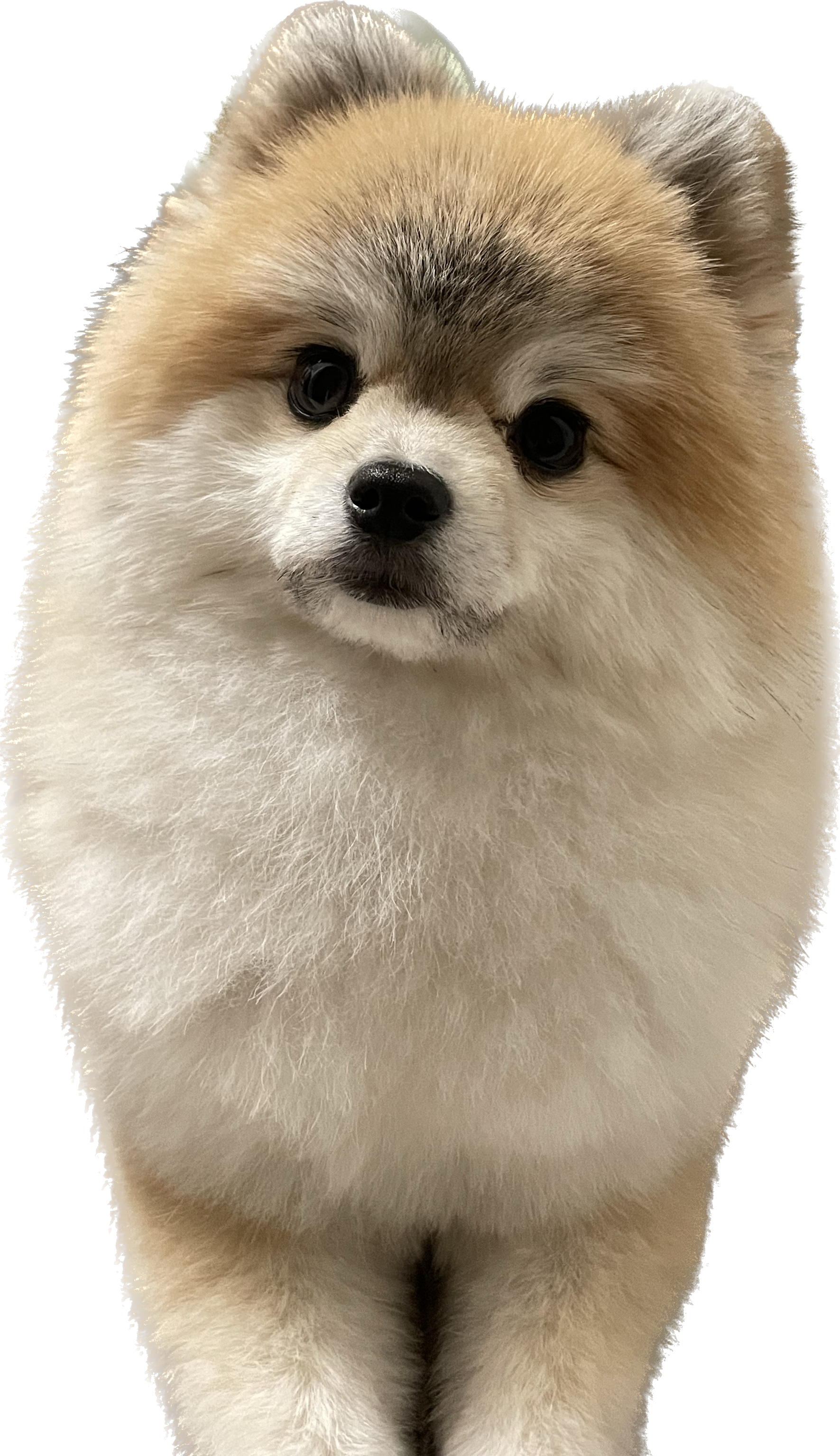 리뷰 사진 1