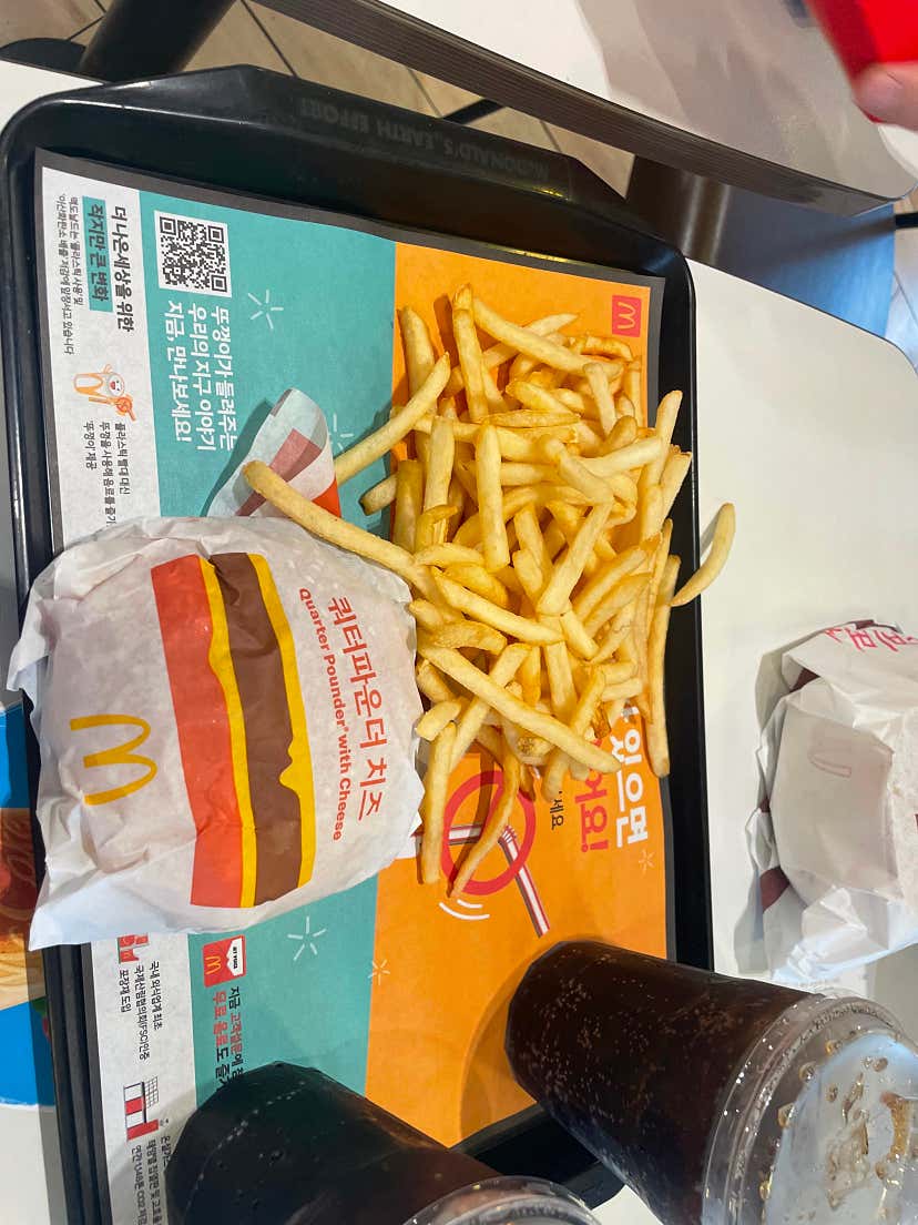 고도리님님의 맥도날치킨 리뷰