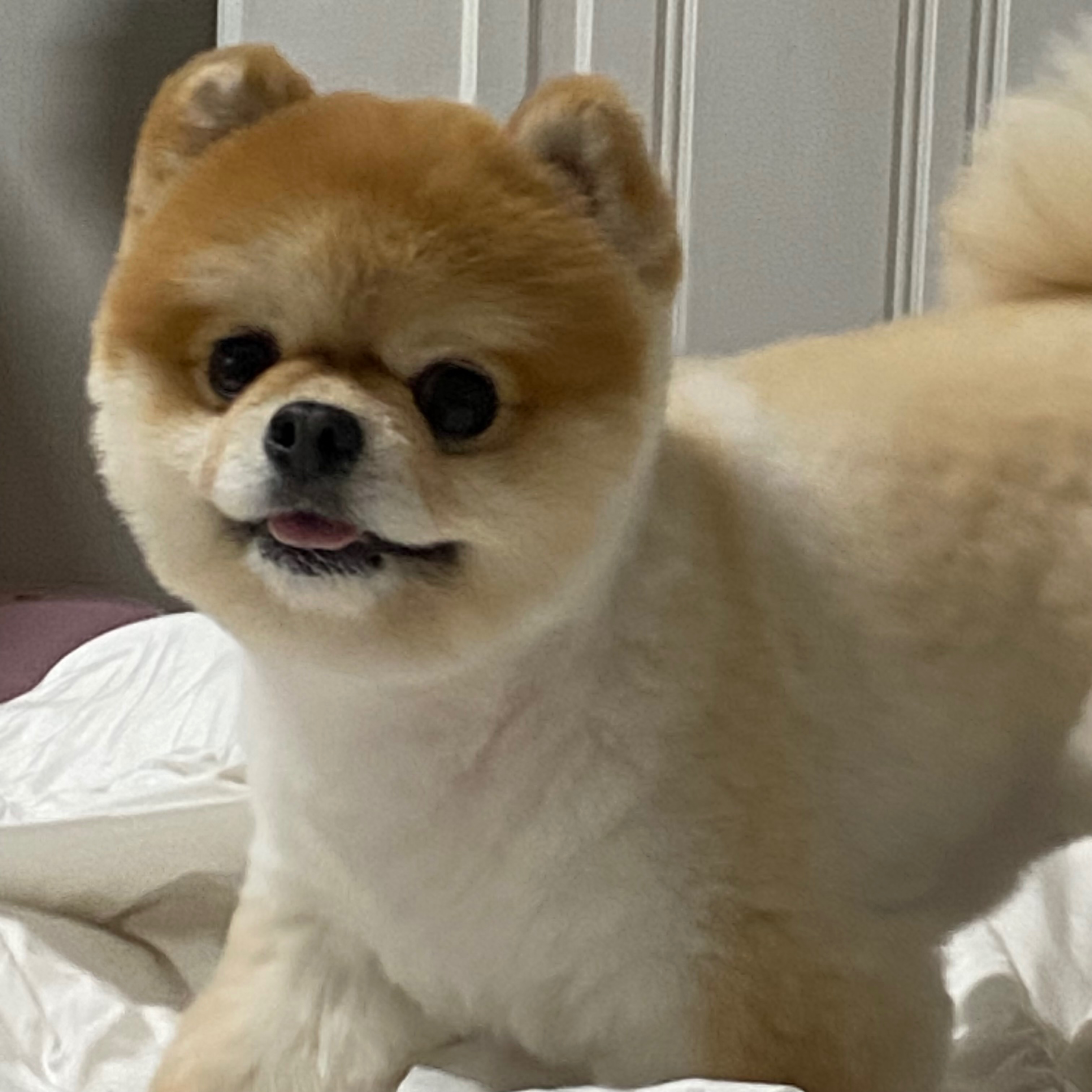 리뷰 사진 1
