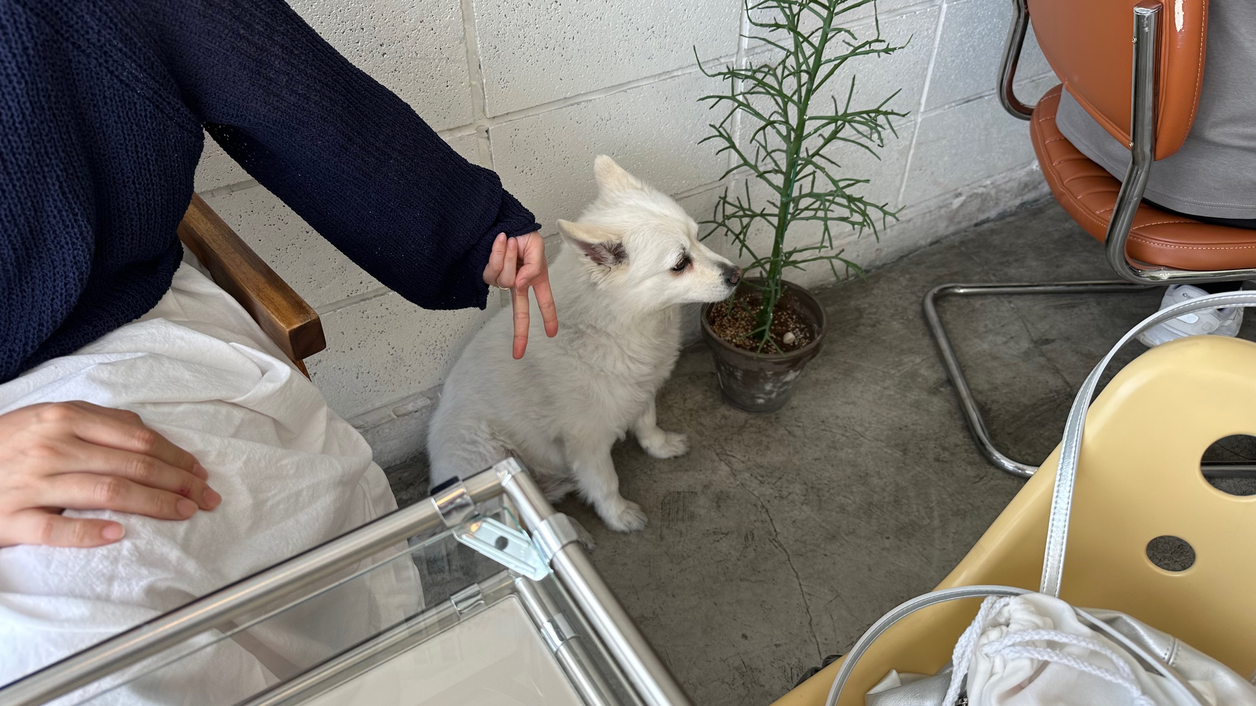 [삼척 맛집 카페로이] 직접 가본 로컬 리뷰