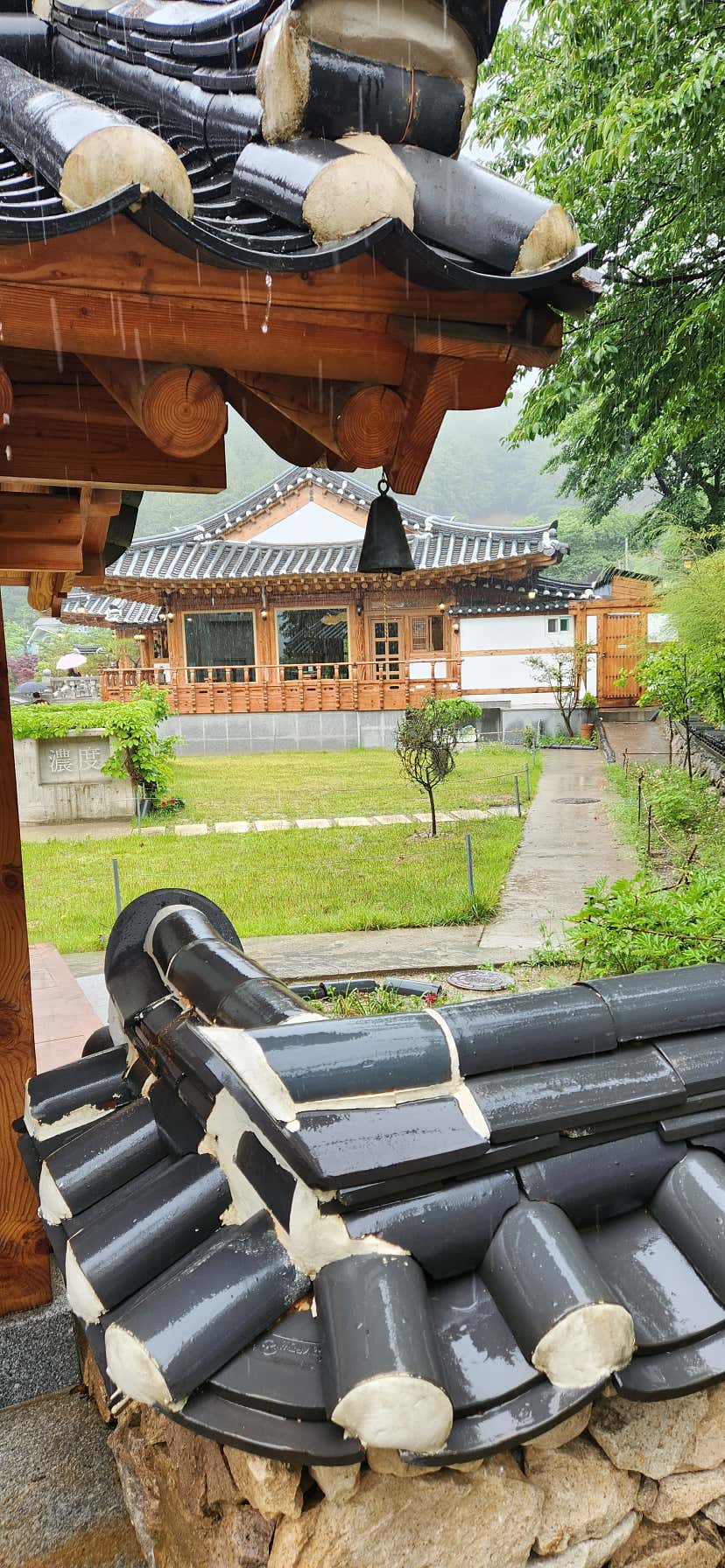 요술공주밍키11님의 농도 리뷰