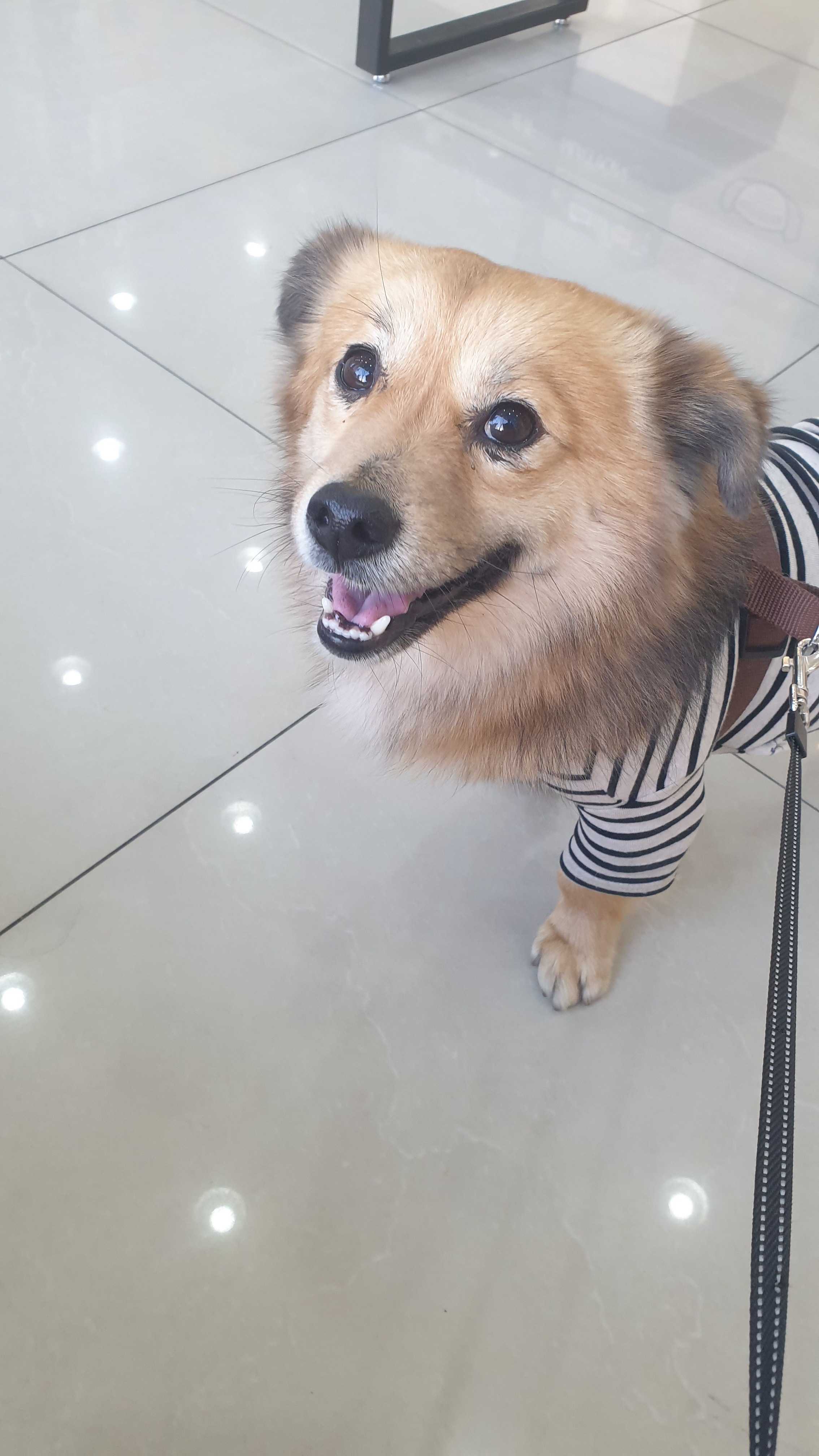 리뷰 사진 1