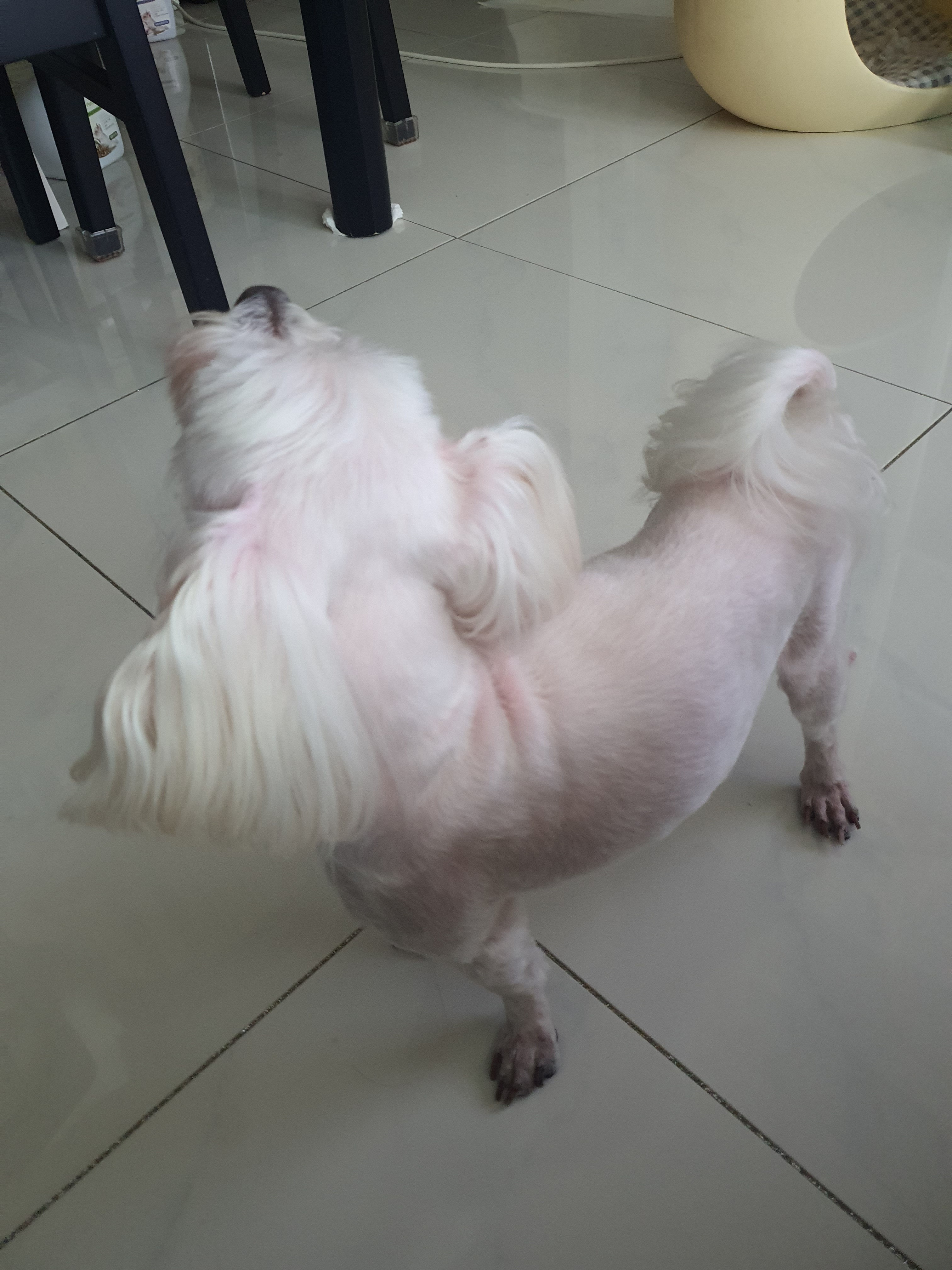 리뷰 사진 2