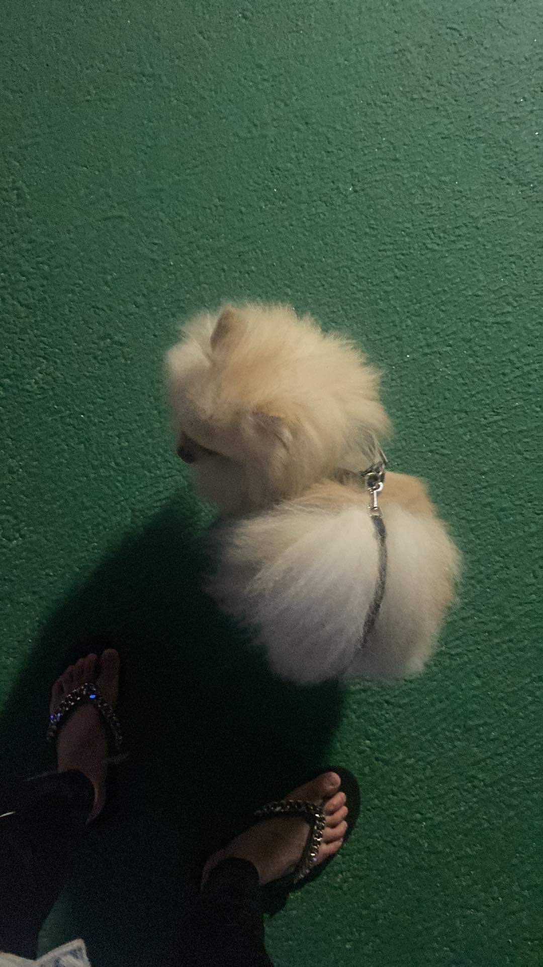 리뷰 사진 1