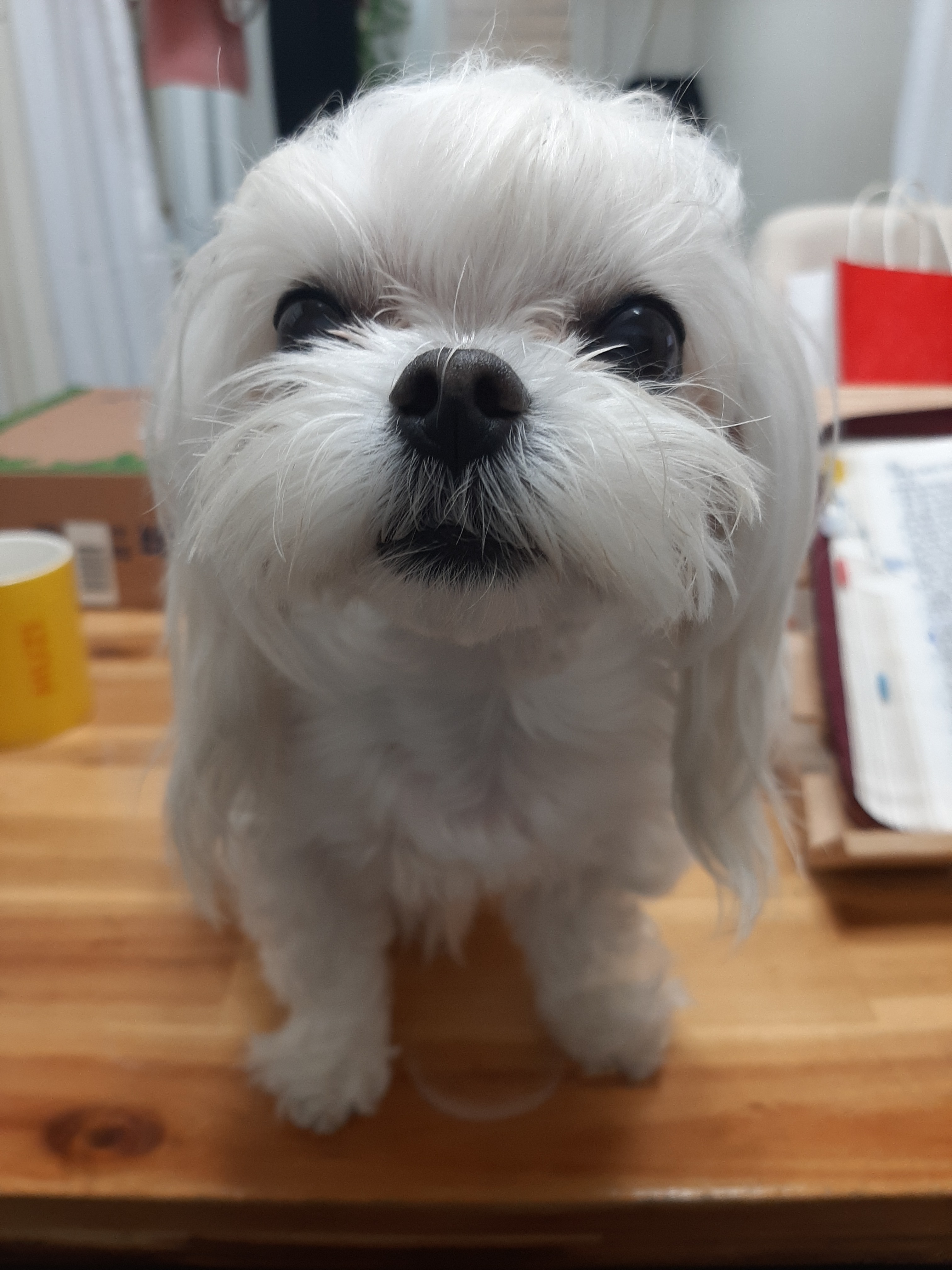 리뷰 사진 1