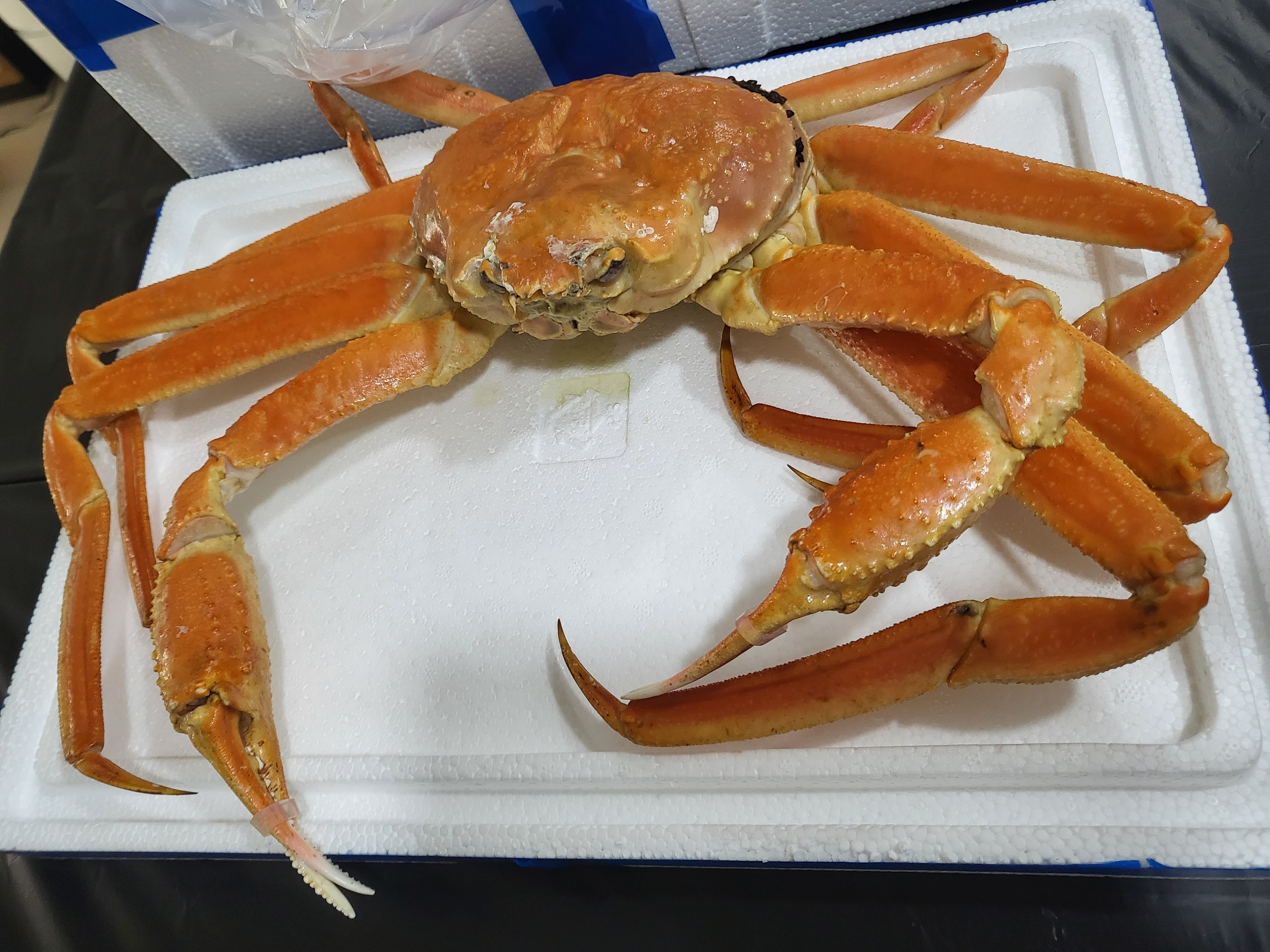 수원 수산물시장 대명수산^-^ - 권선동 맛집 대명수산 수원농수산물도매시장점