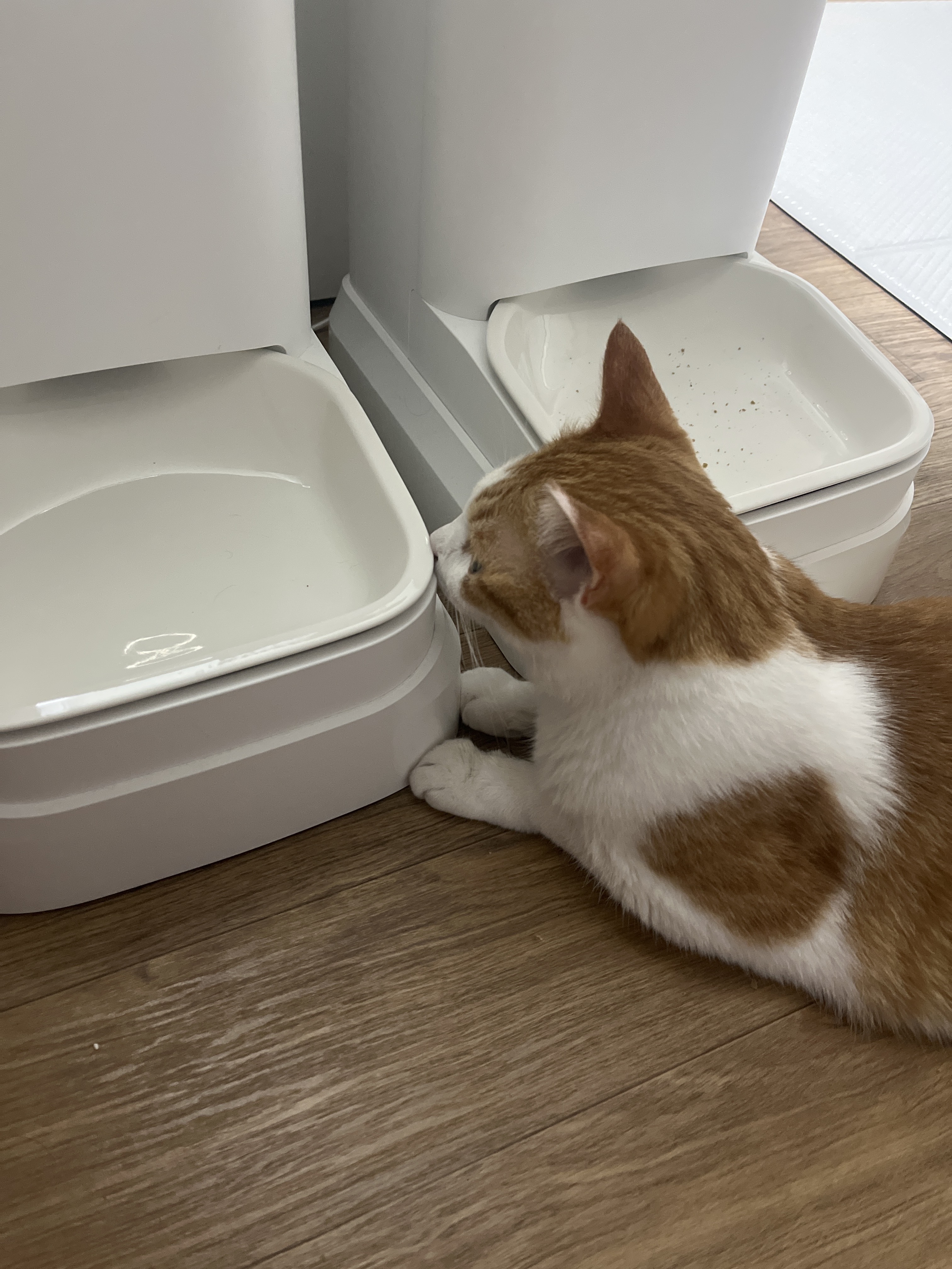 리뷰 사진 3