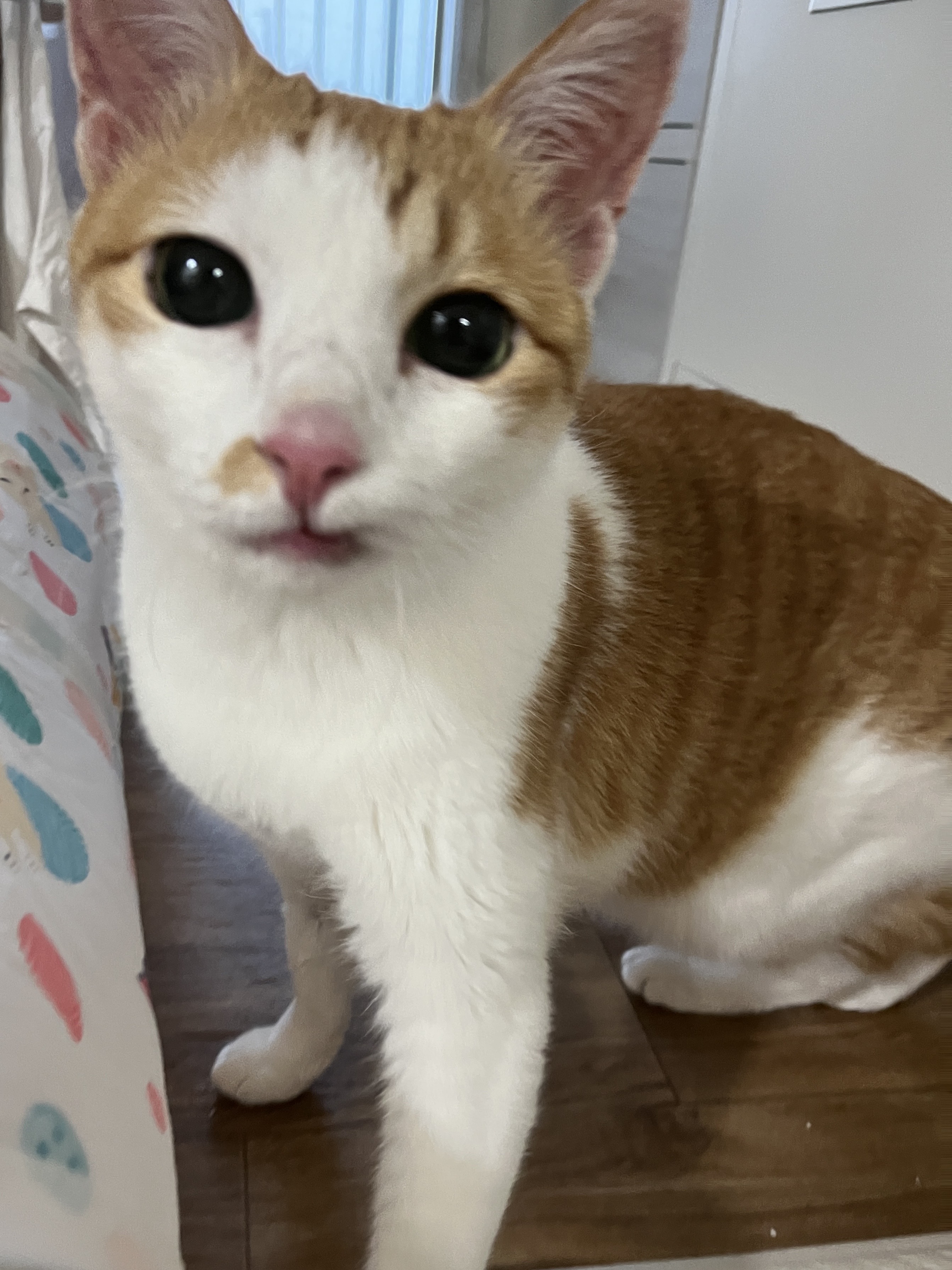 리뷰 사진 2