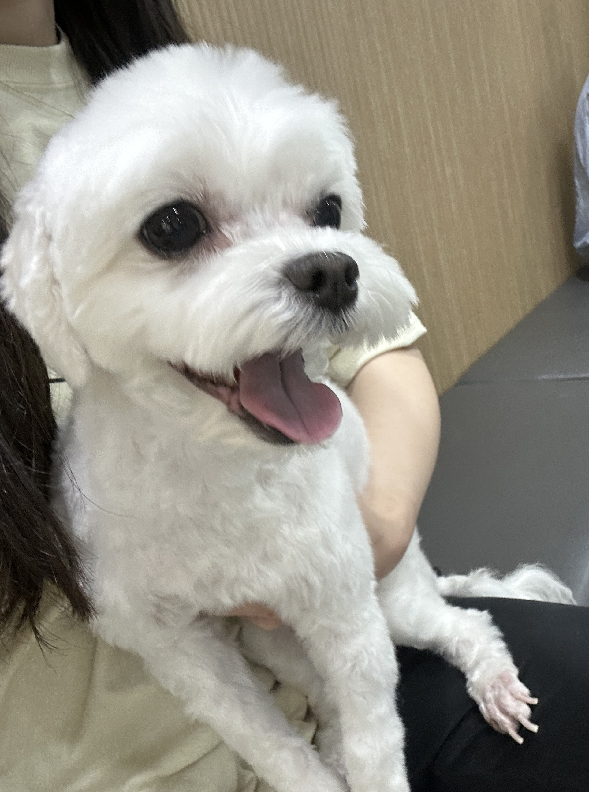 리뷰 사진 3