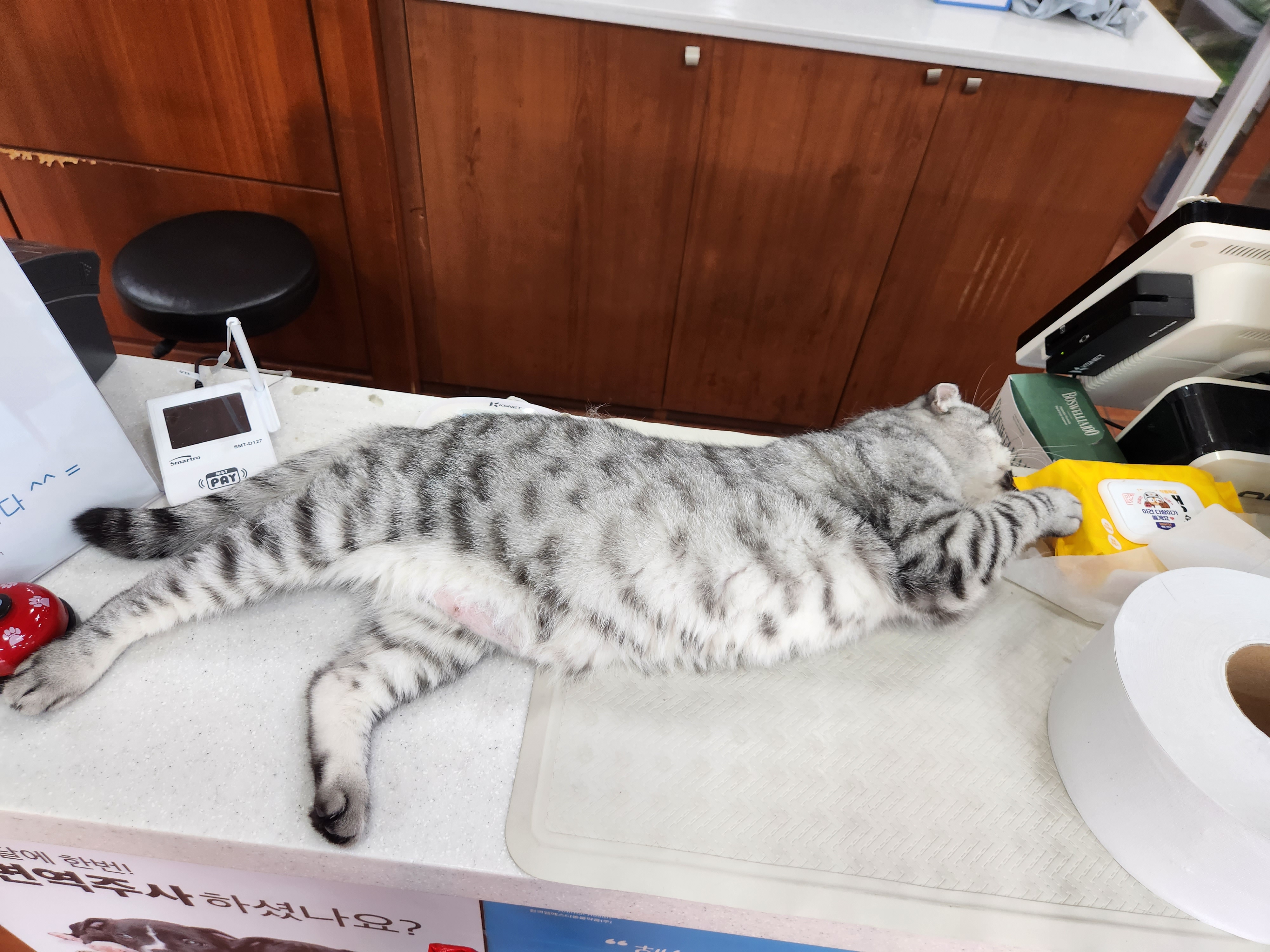 리뷰 사진 2
