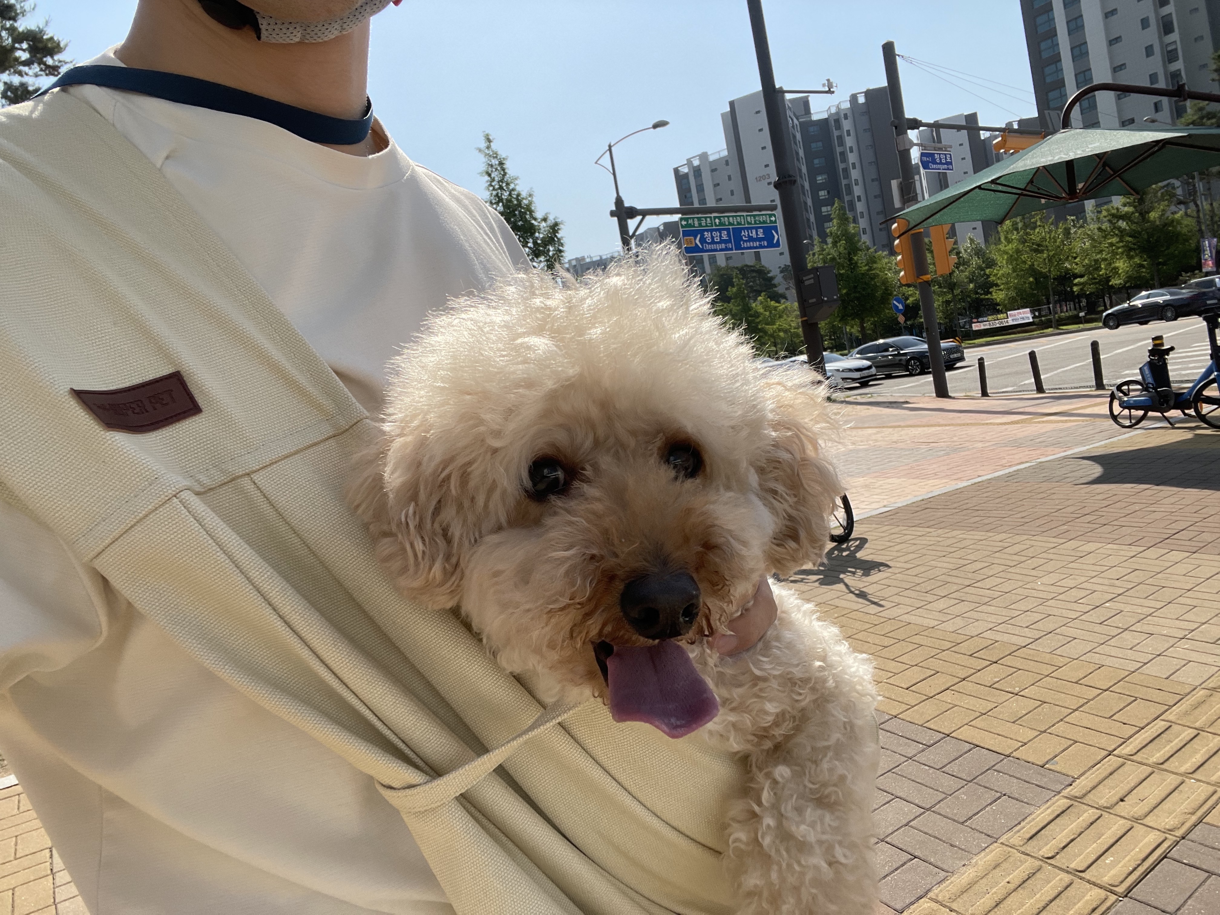리뷰 사진 1