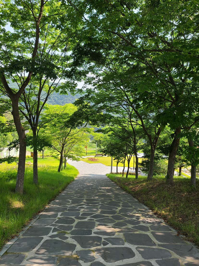 푸른천상님의 큰입이축산마을 리뷰