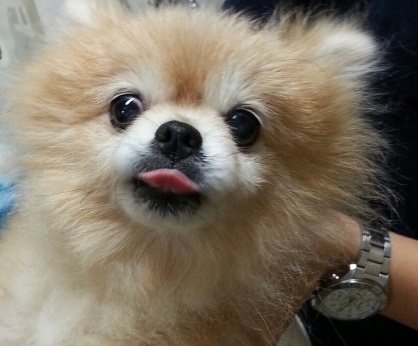 리뷰 사진 1