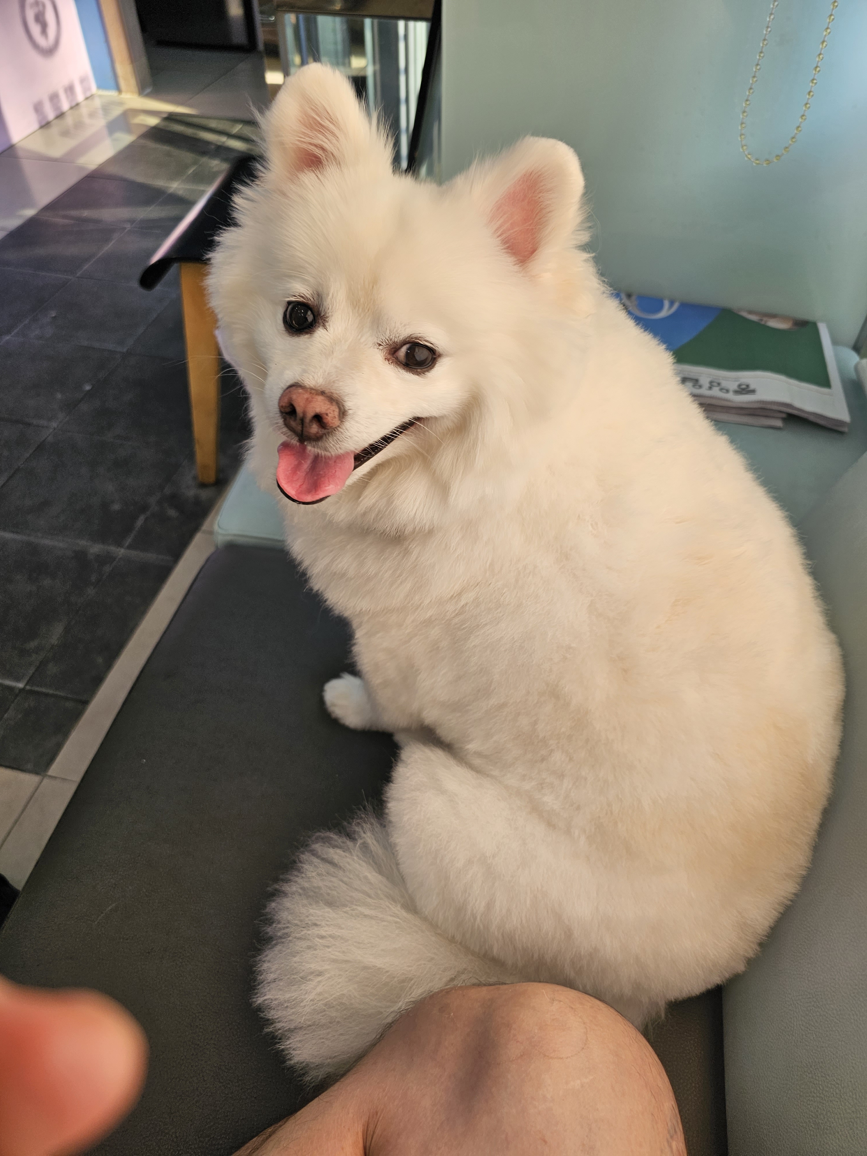 디아크동물병원 사진 2