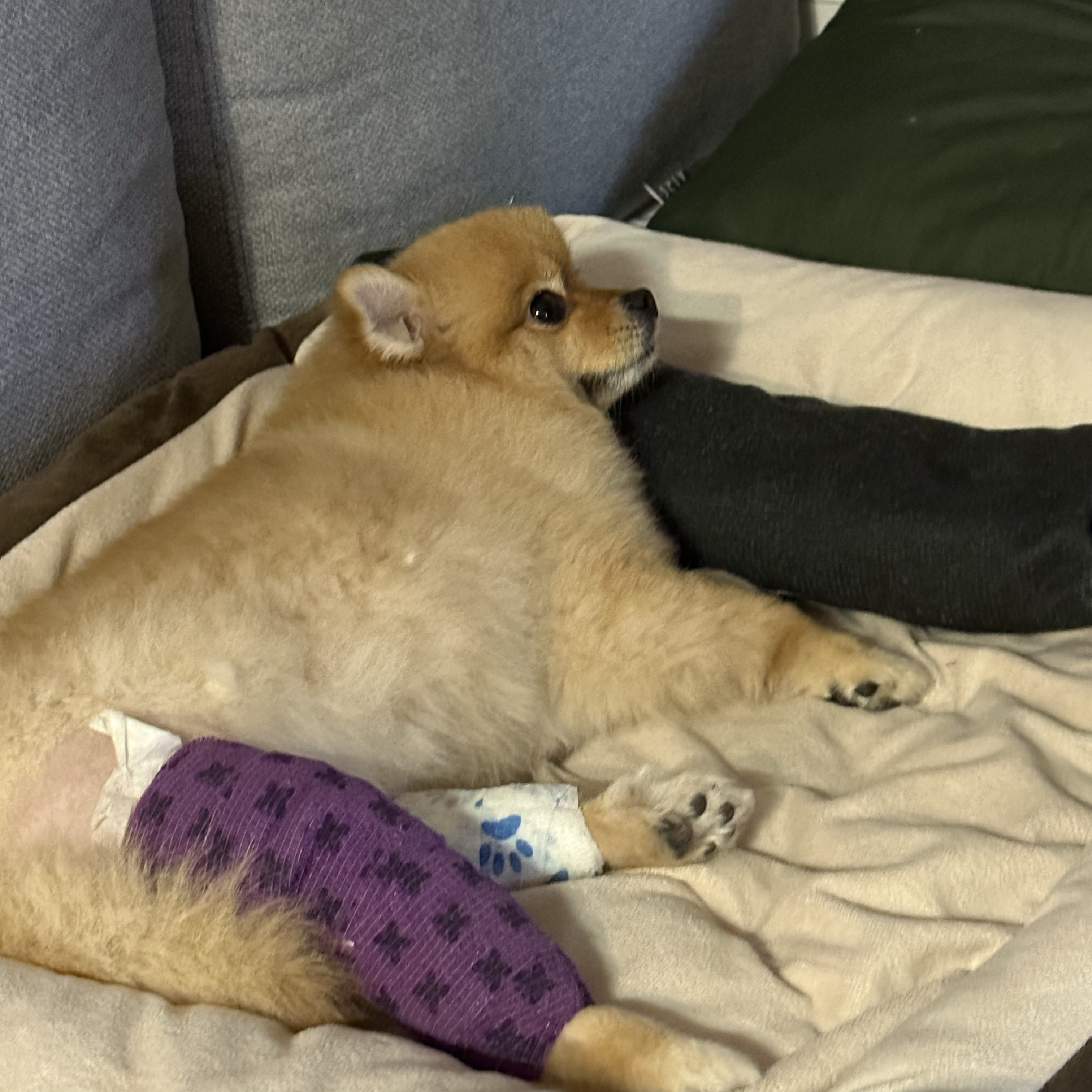 백슬동물병원 사진 2