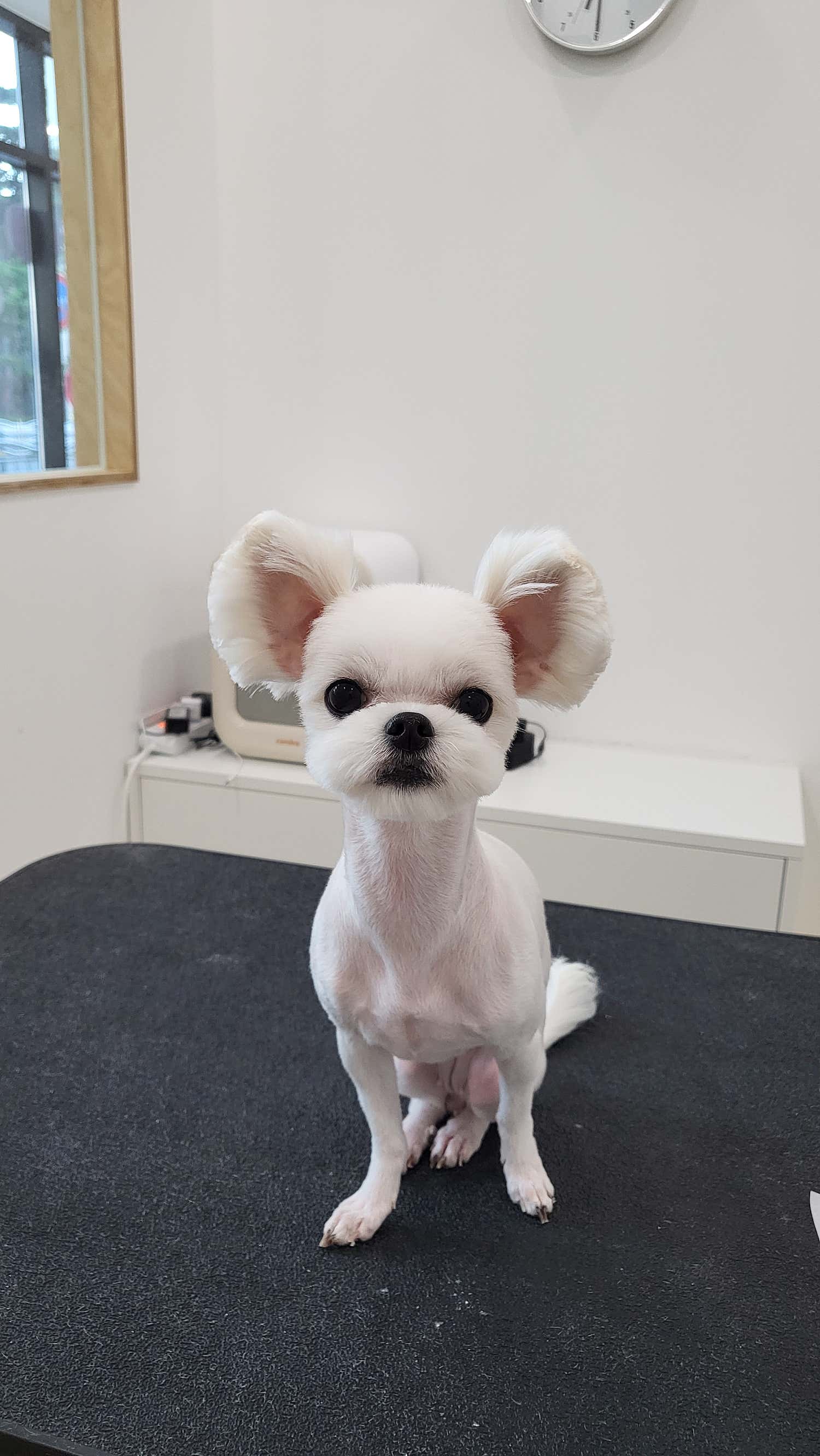 멈머