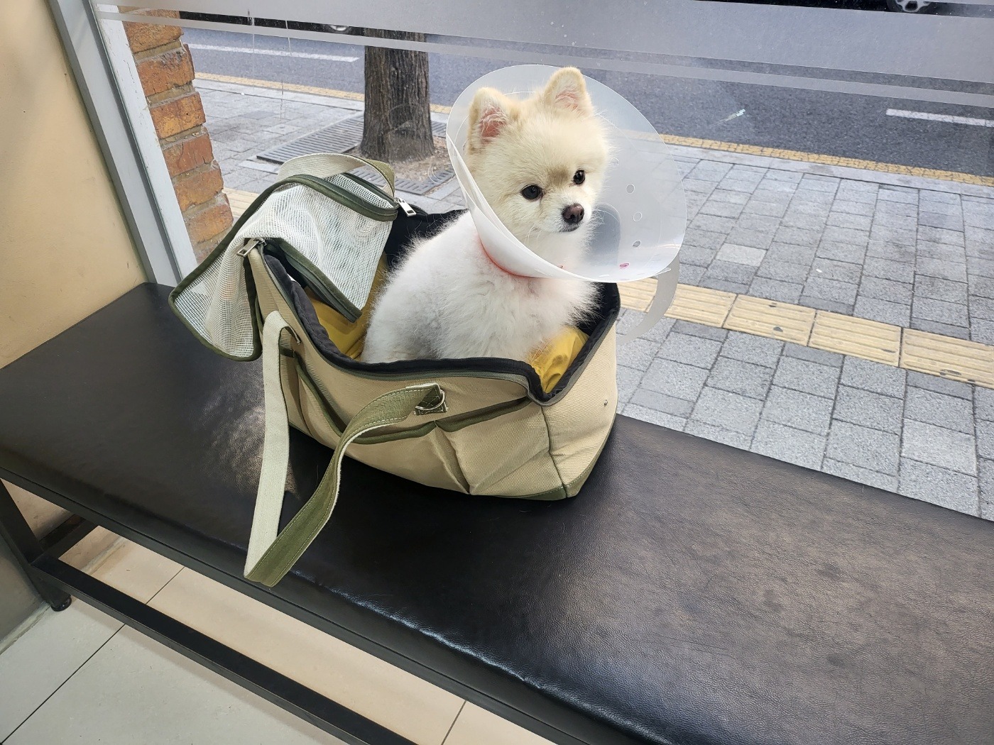 리뷰 사진 1