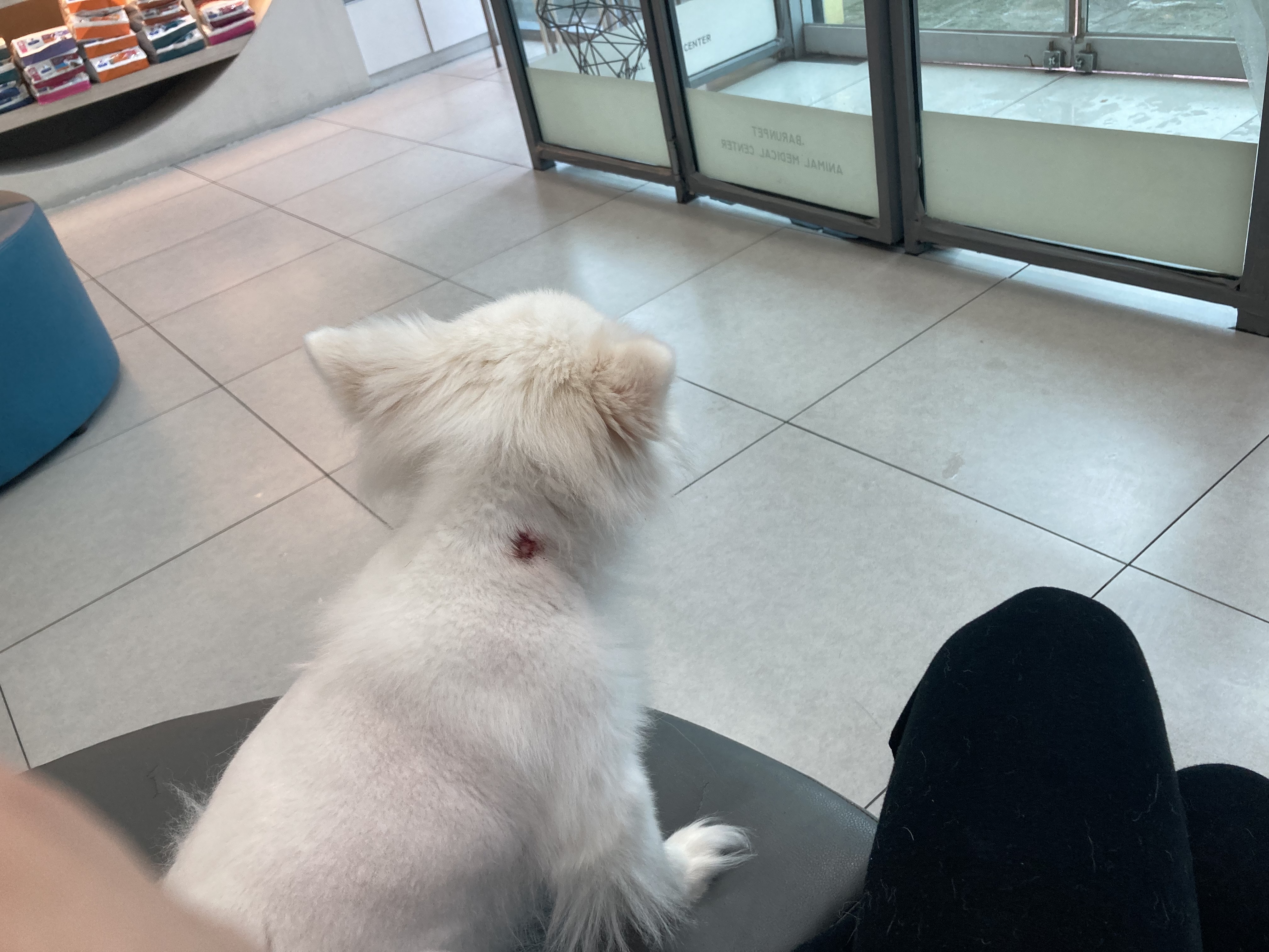 리뷰 사진 2