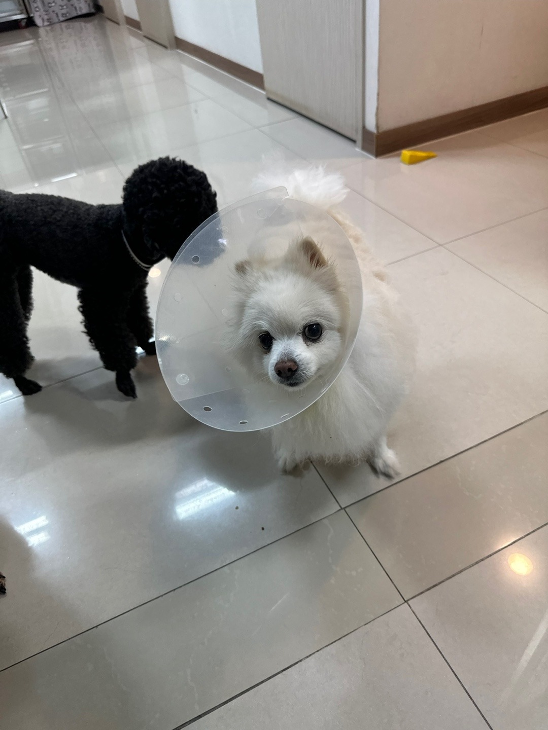 리뷰 사진 1