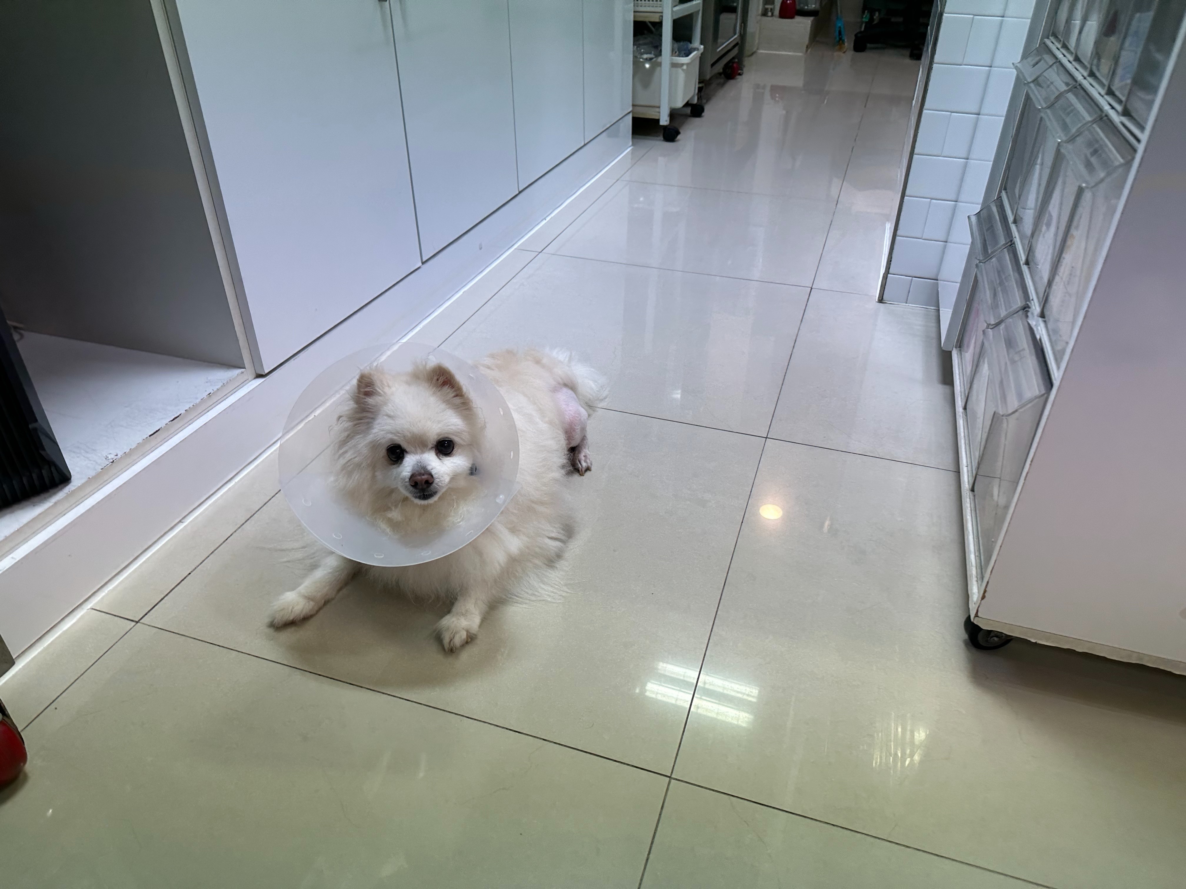 리뷰 사진 3