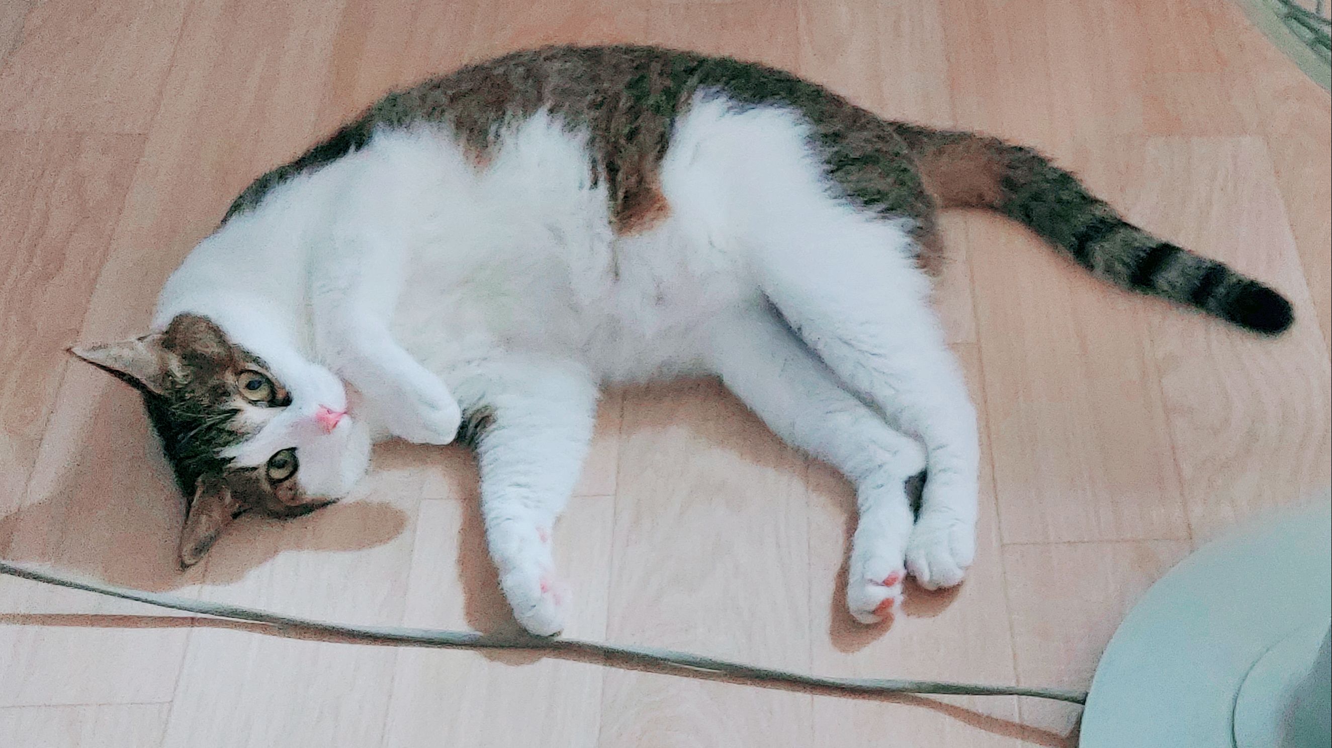 리뷰 사진 1