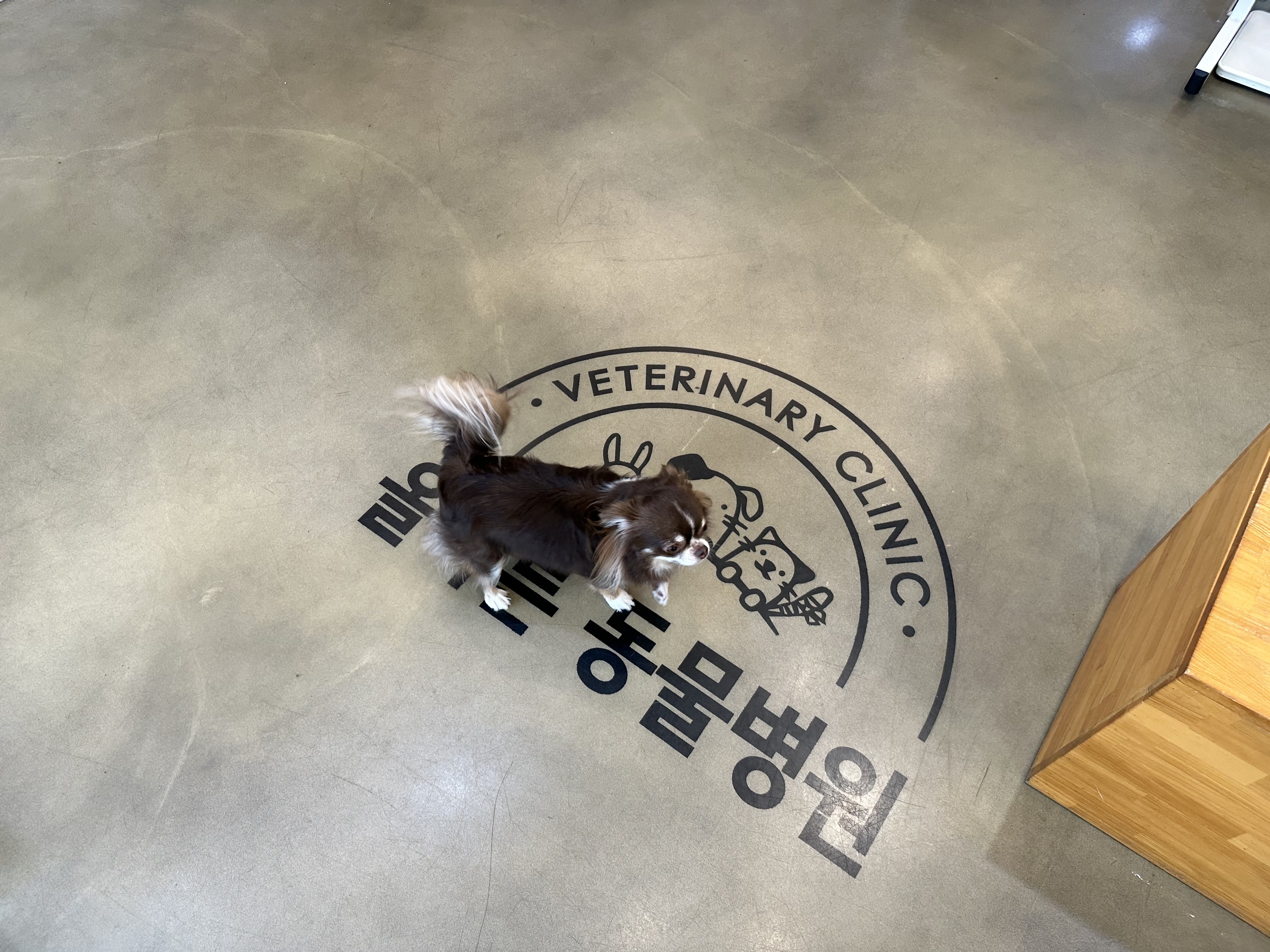 리뷰 사진 1