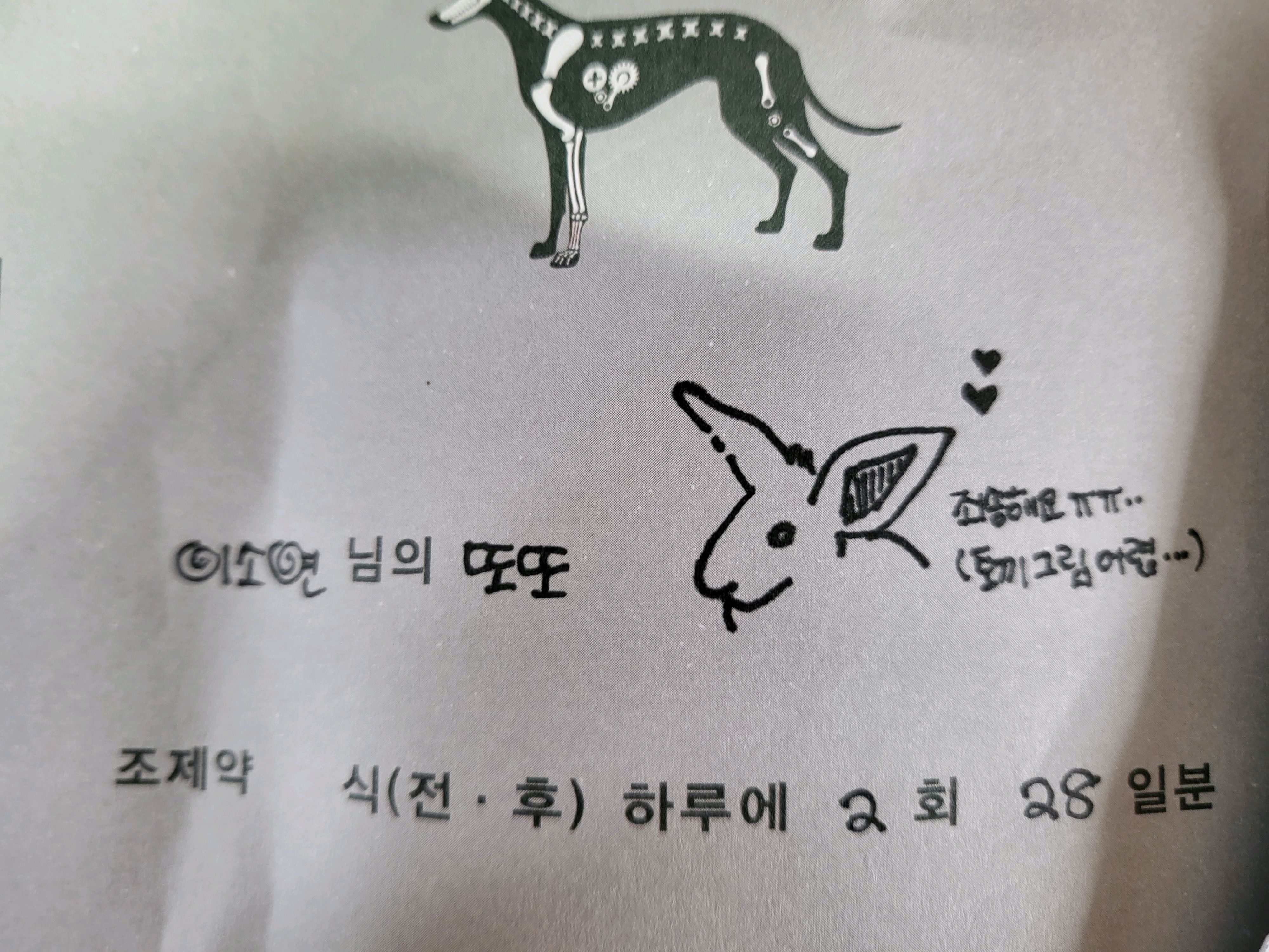 리뷰 사진 2