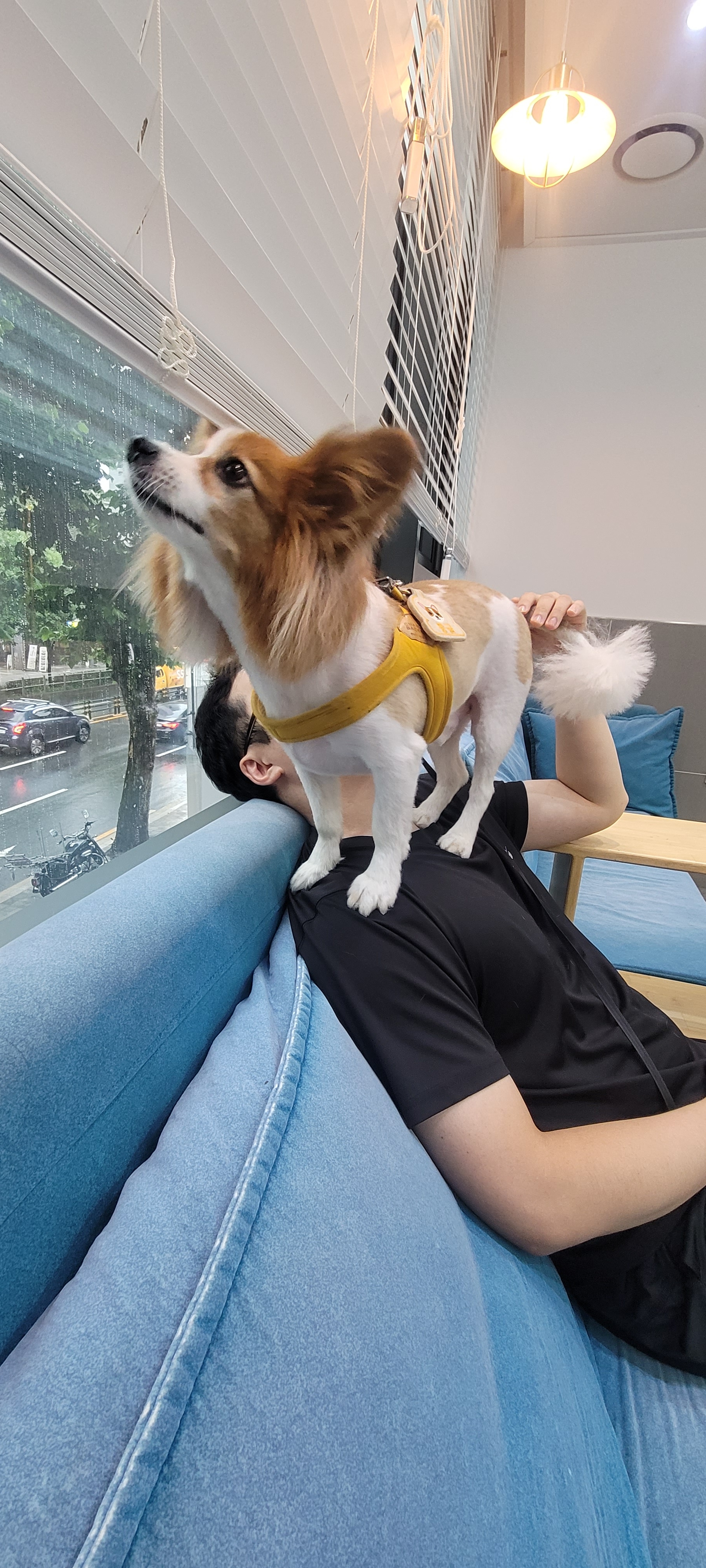 리뷰 사진 1