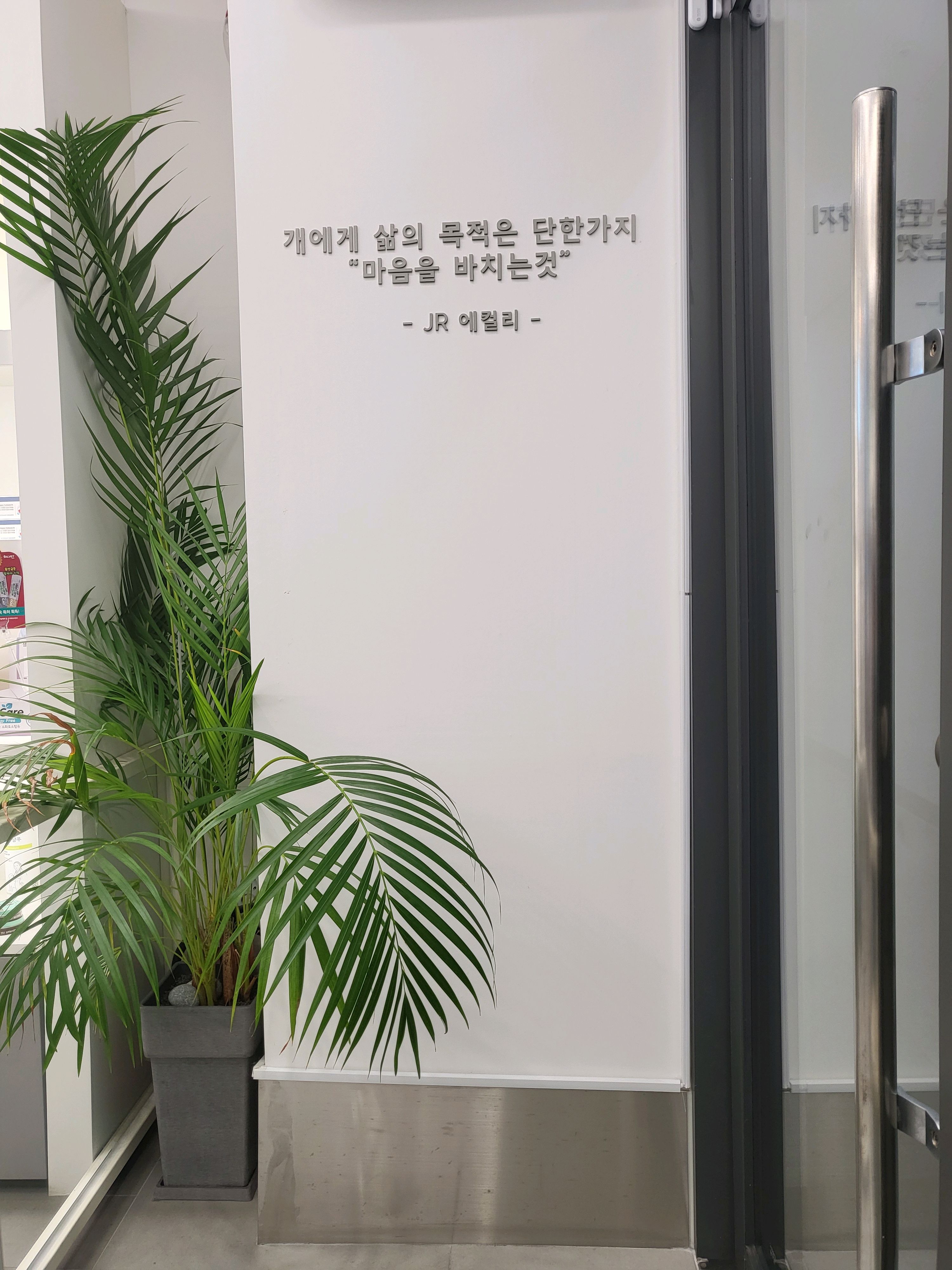 리뷰 사진 1